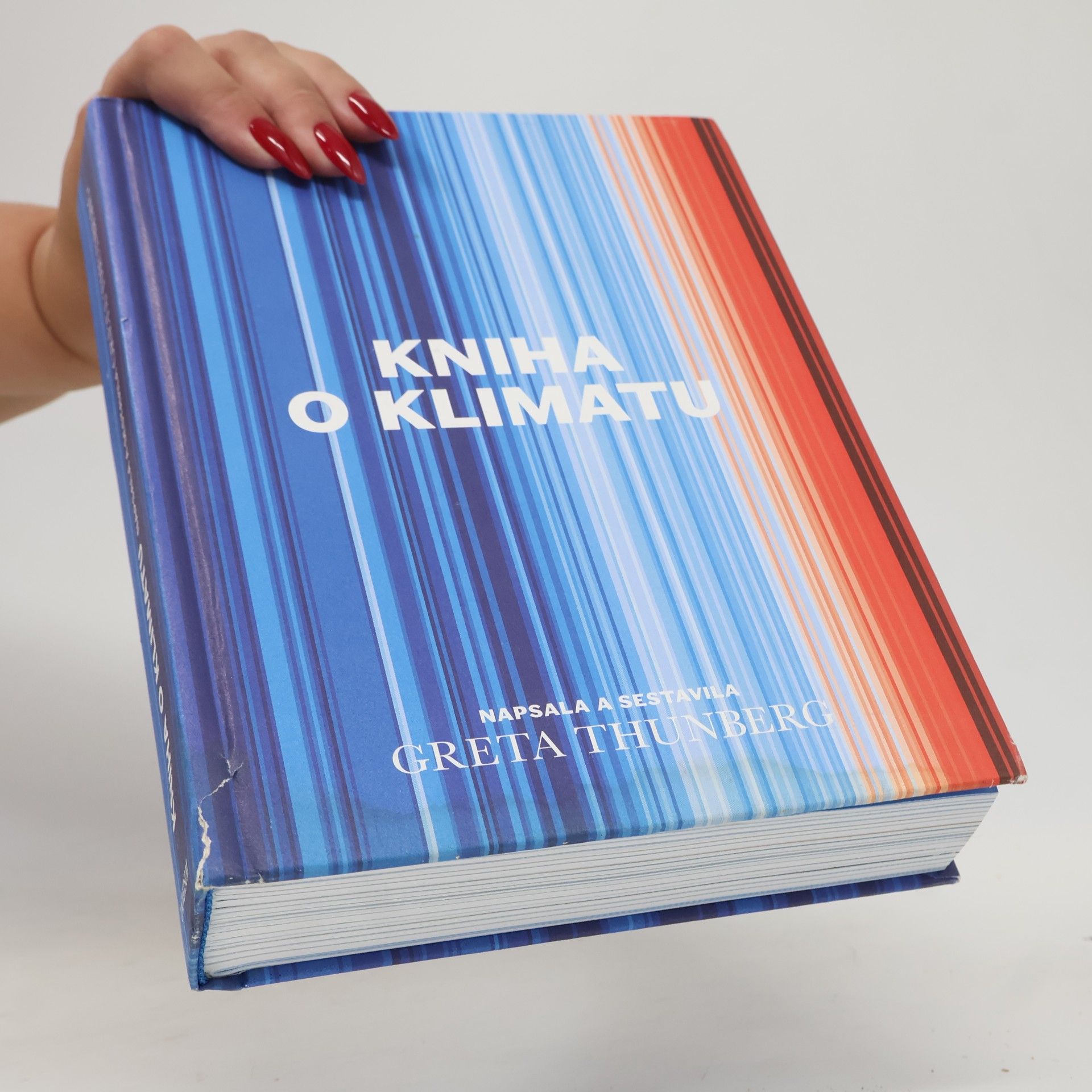 Greta Thunberg Kniha o klimatu