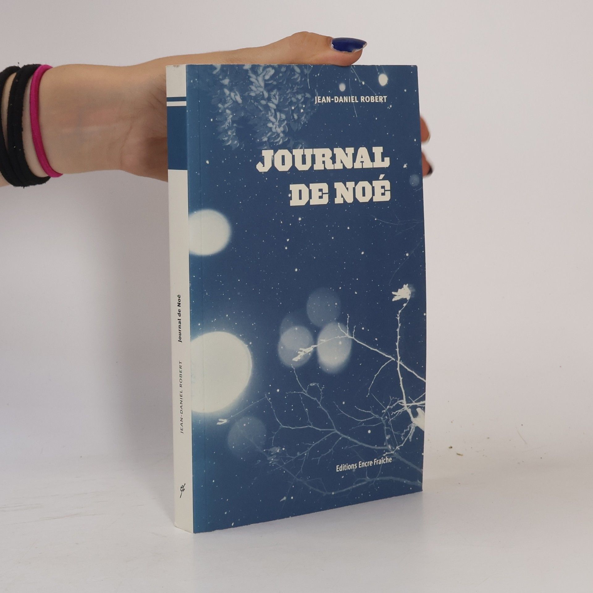 Jean-Daniel Robert Journal de Noé