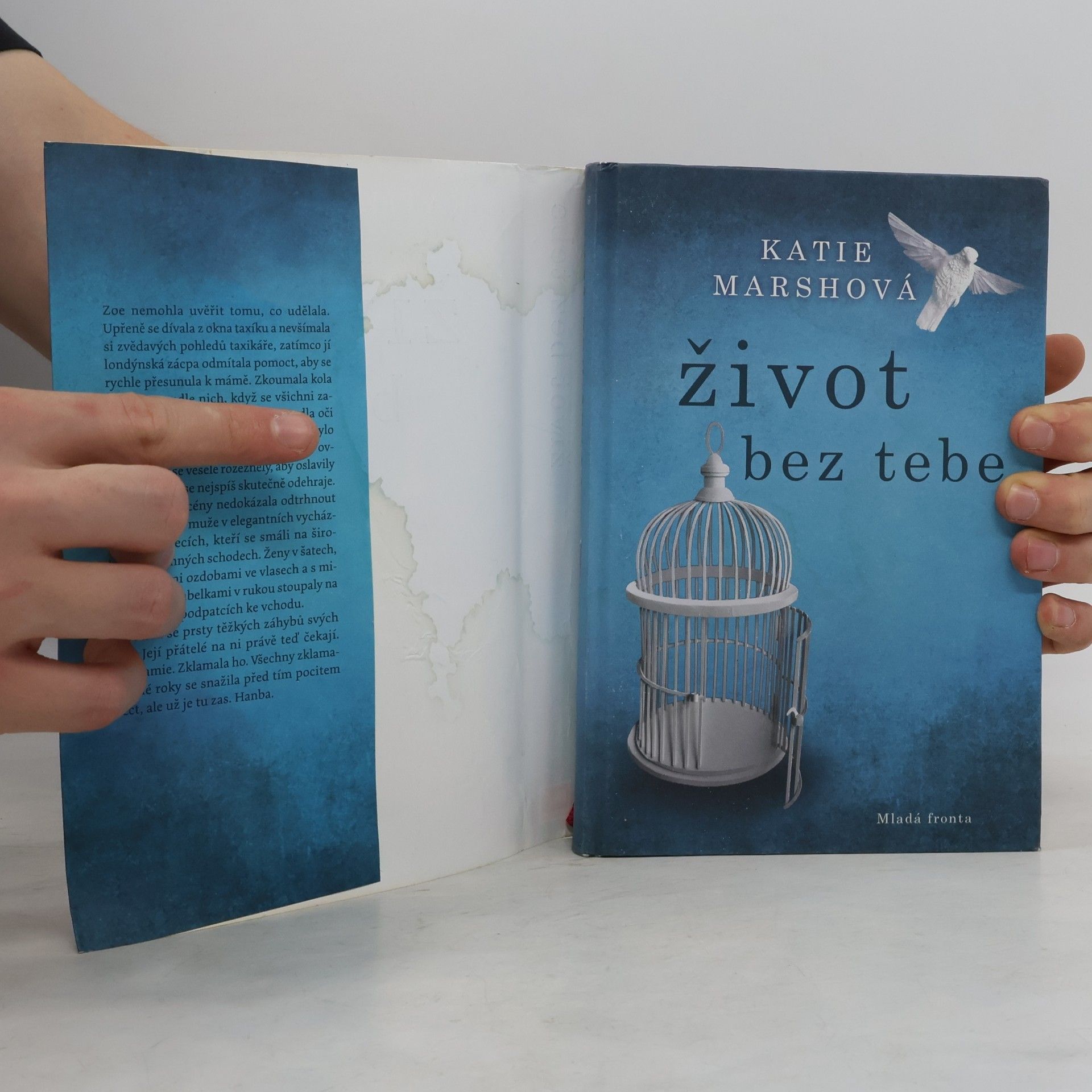 Katie Marsh Život bez tebe