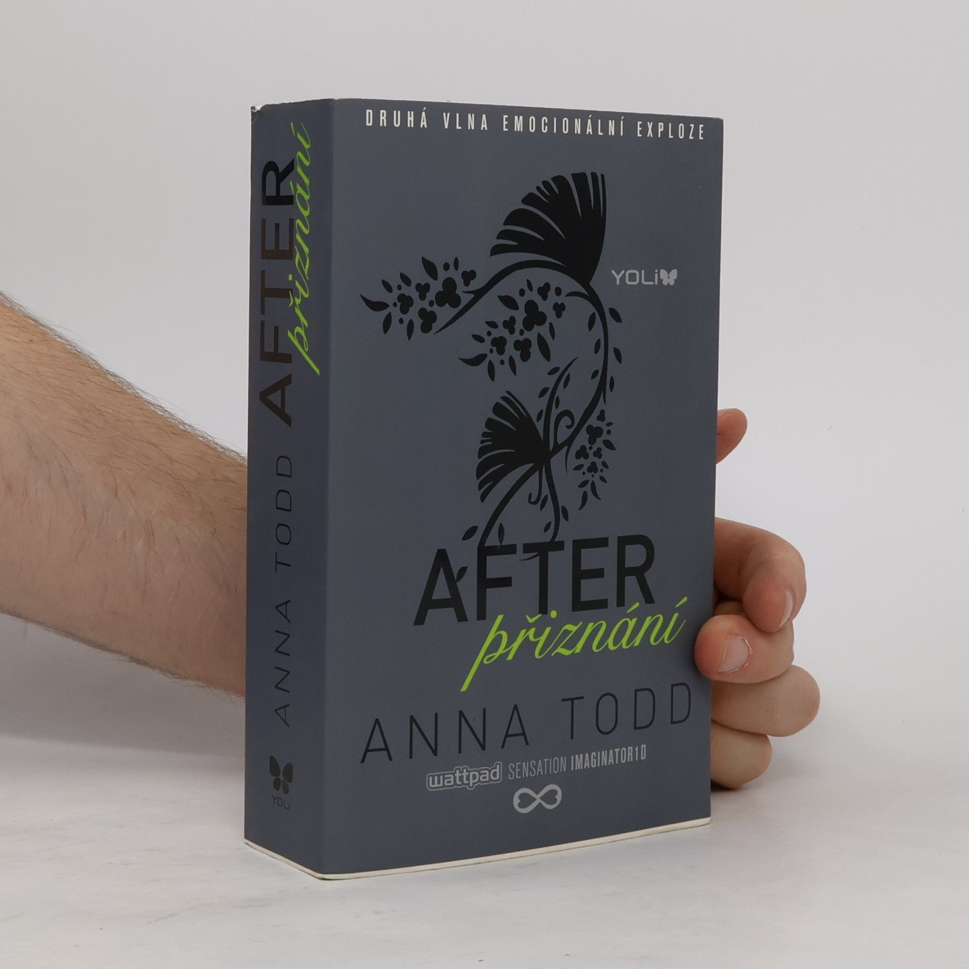 Anna Todd After. Přiznání