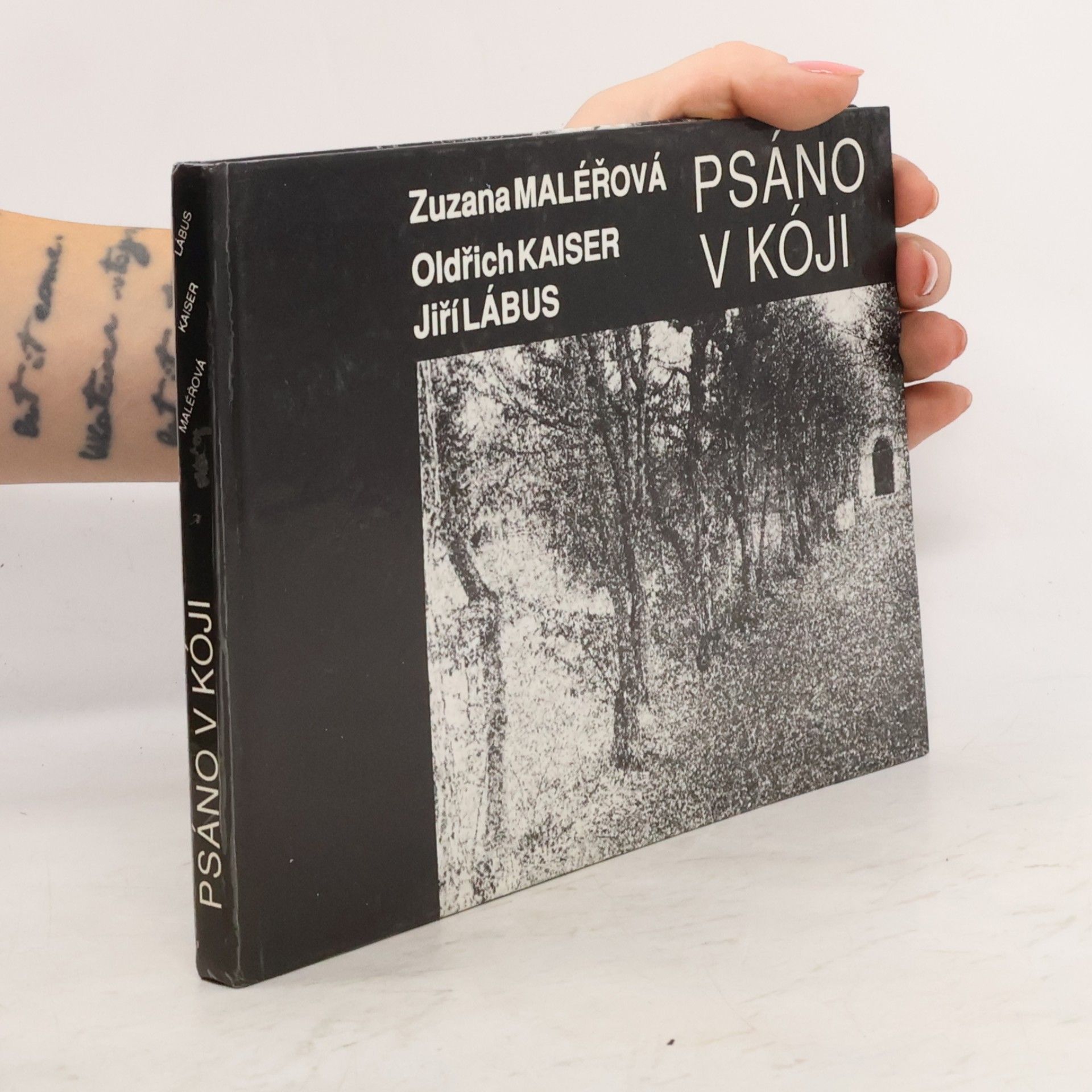 Maléřová Zuzana Psáno v kóji