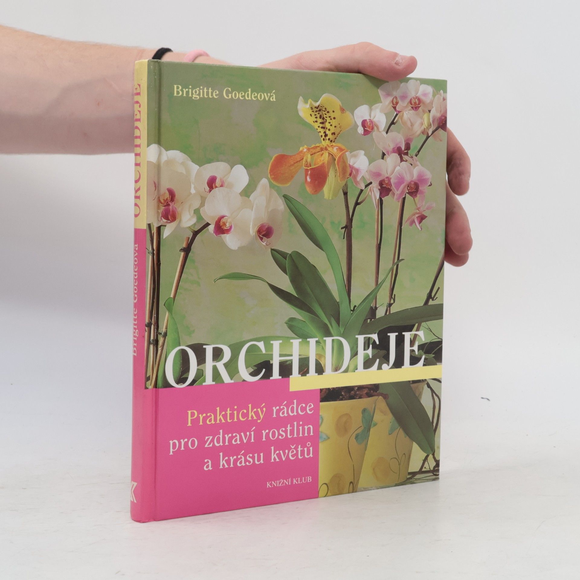 Brigitte Goede Orchideje. Praktický rádce pro zdraví rostlin a krásu květů