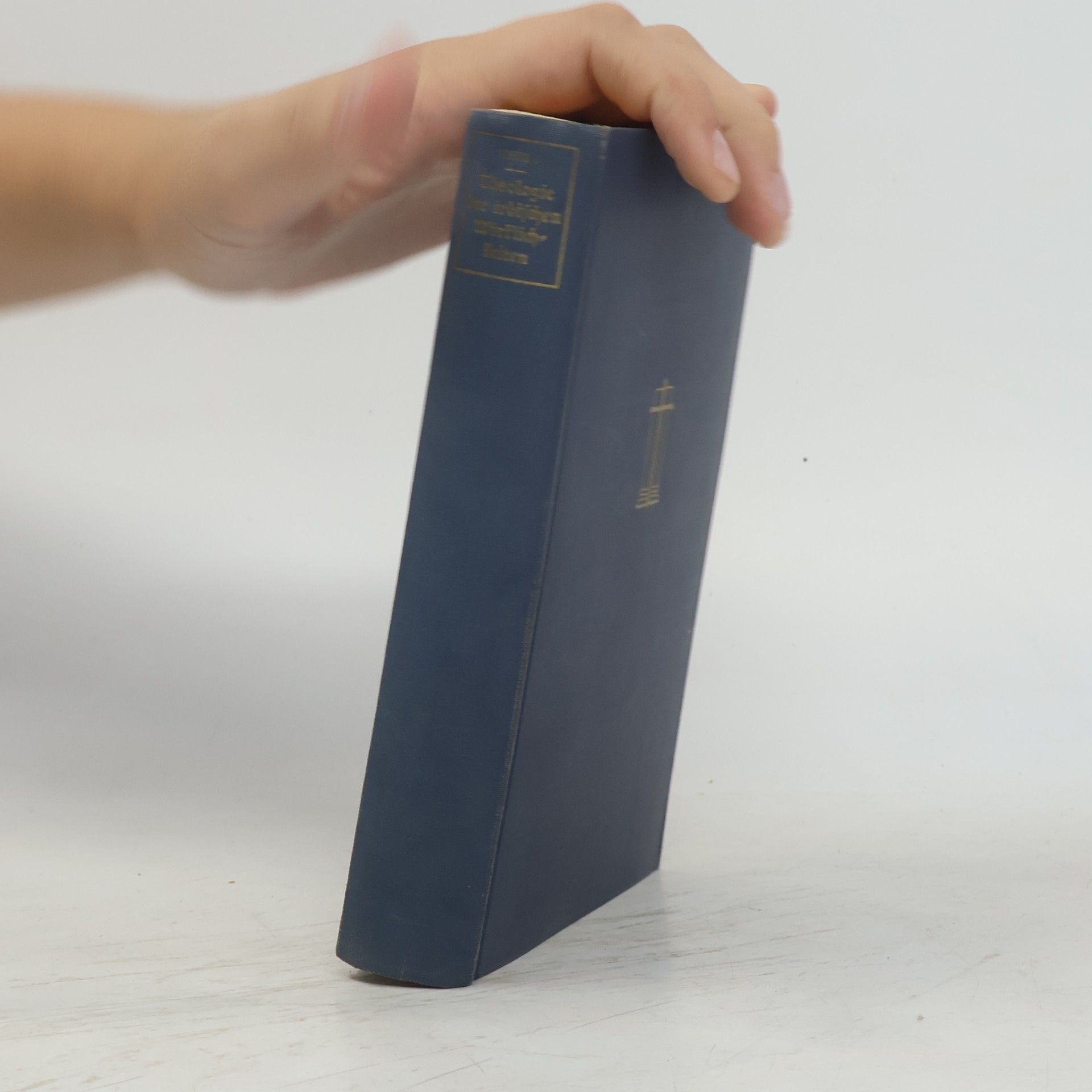 Theologie der irdischen Wirklichkeiten