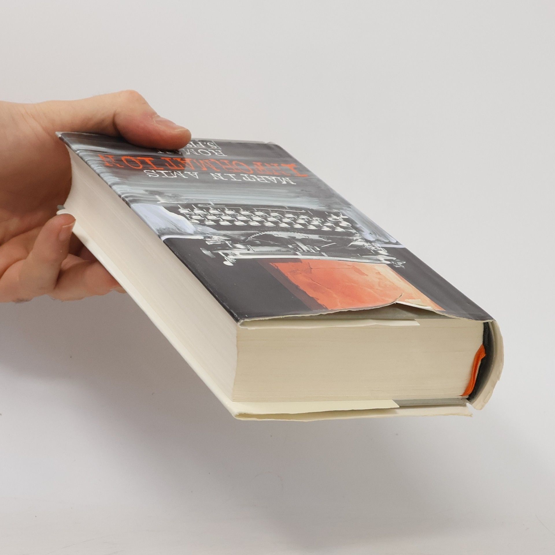Martin Amis Information