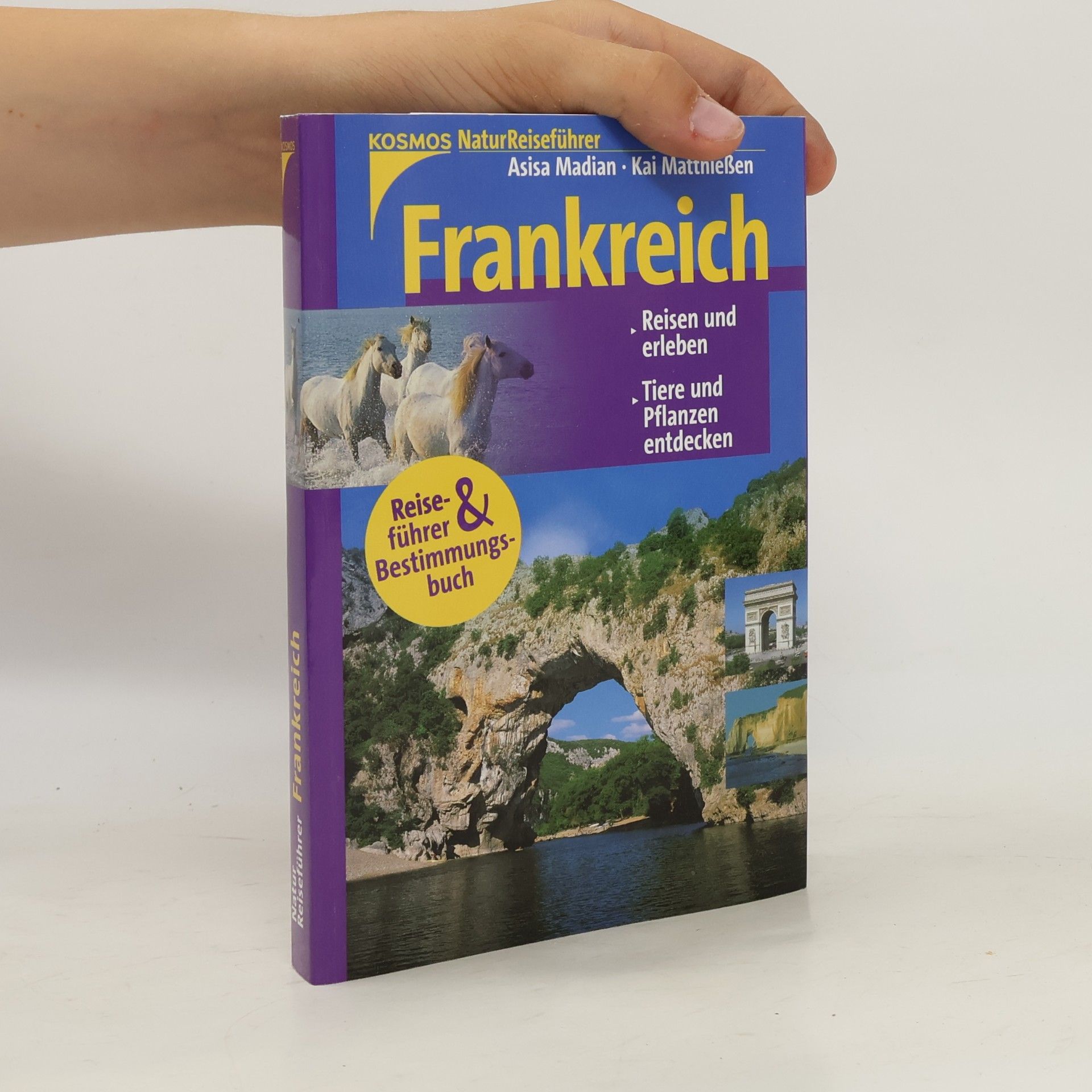 Asisa Madian Frankreich