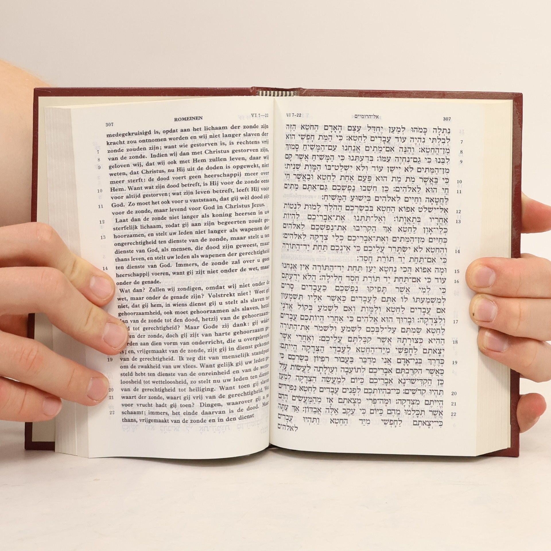 Autorenkollektiv Hebreeuws-Nederlands Het Nieuwe Testament = ברית חדשה