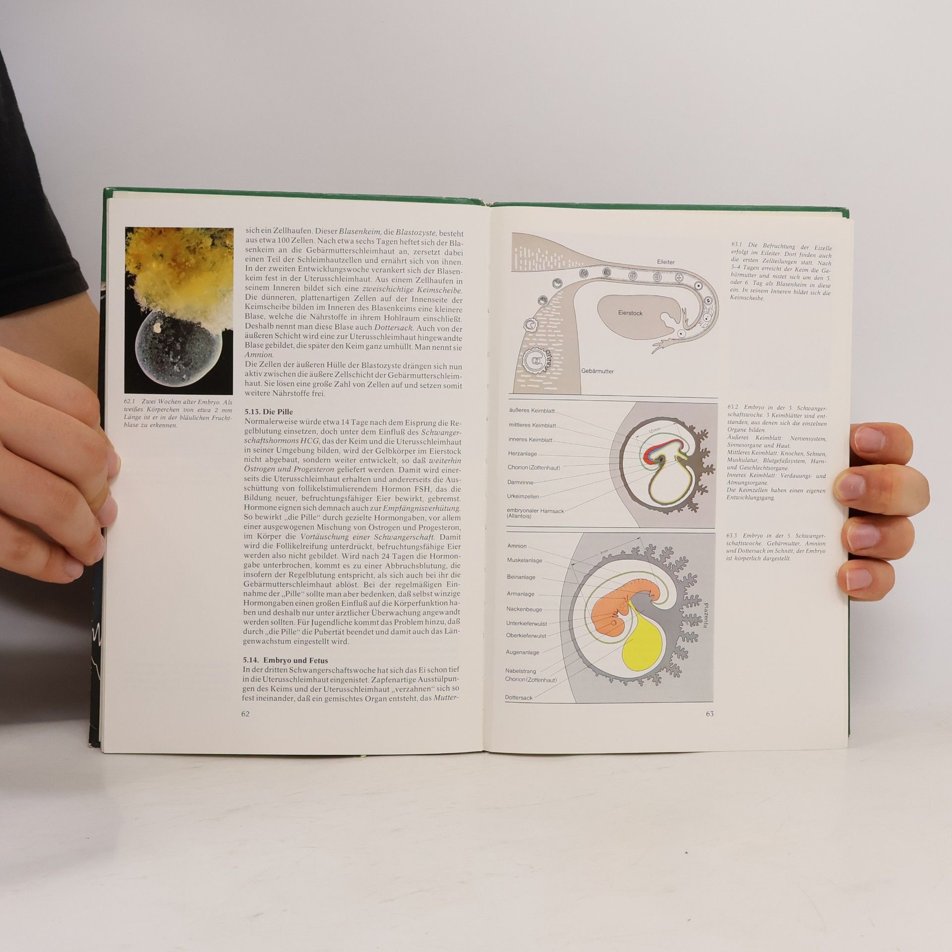 AA.VV. Humanbiologie