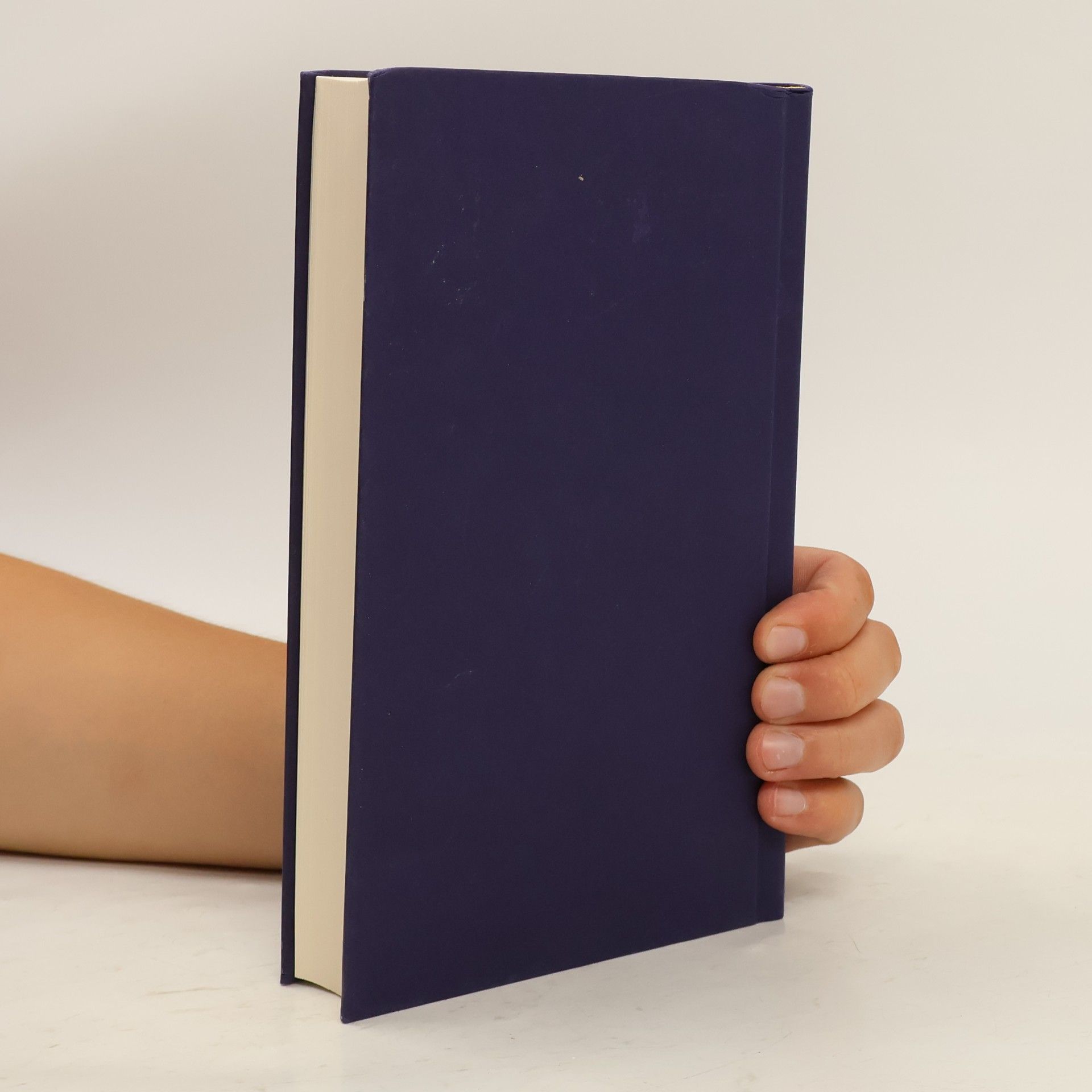 Elena Ferrante Das lügenhafte Leben der Erwachsenen