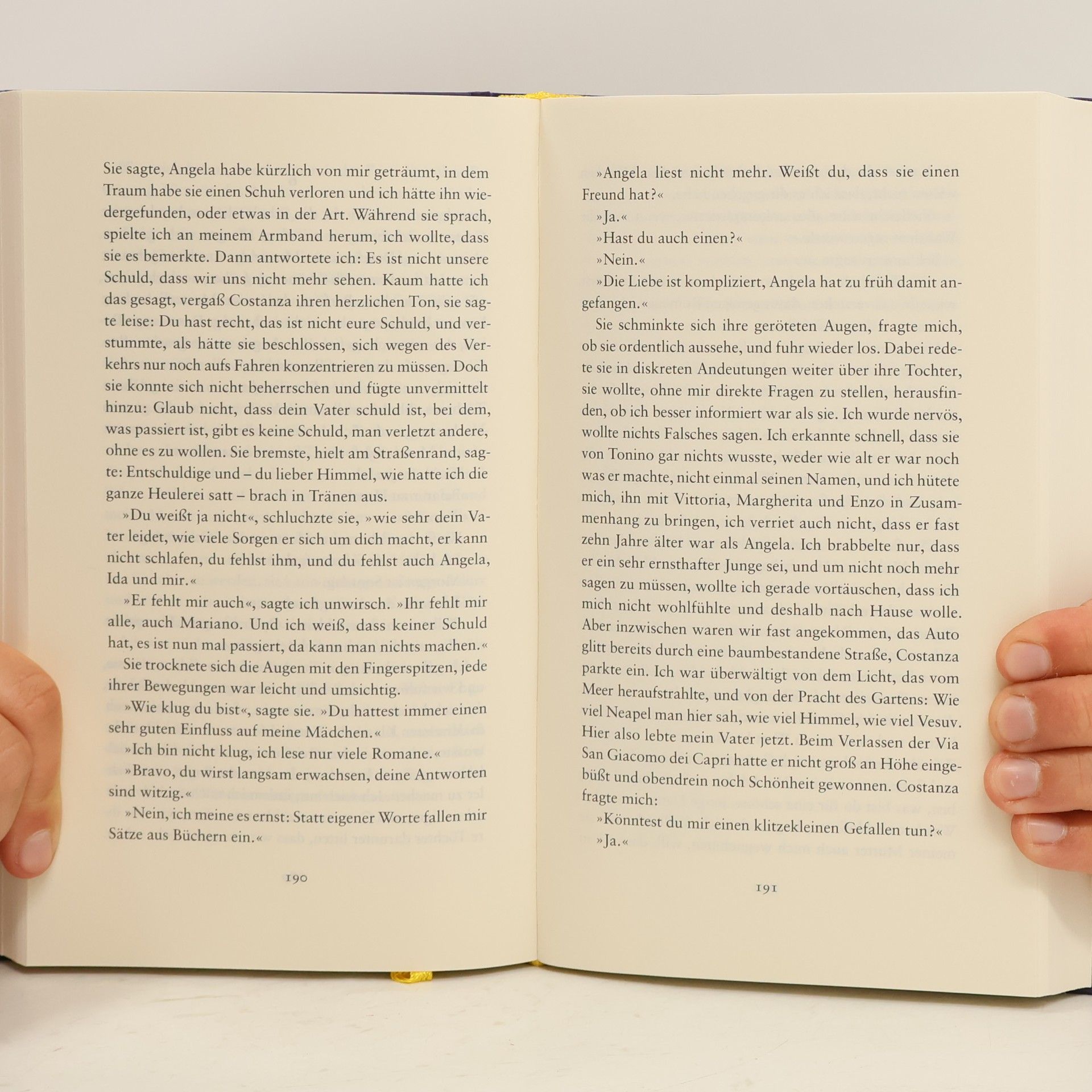 Elena Ferrante Das lügenhafte Leben der Erwachsenen