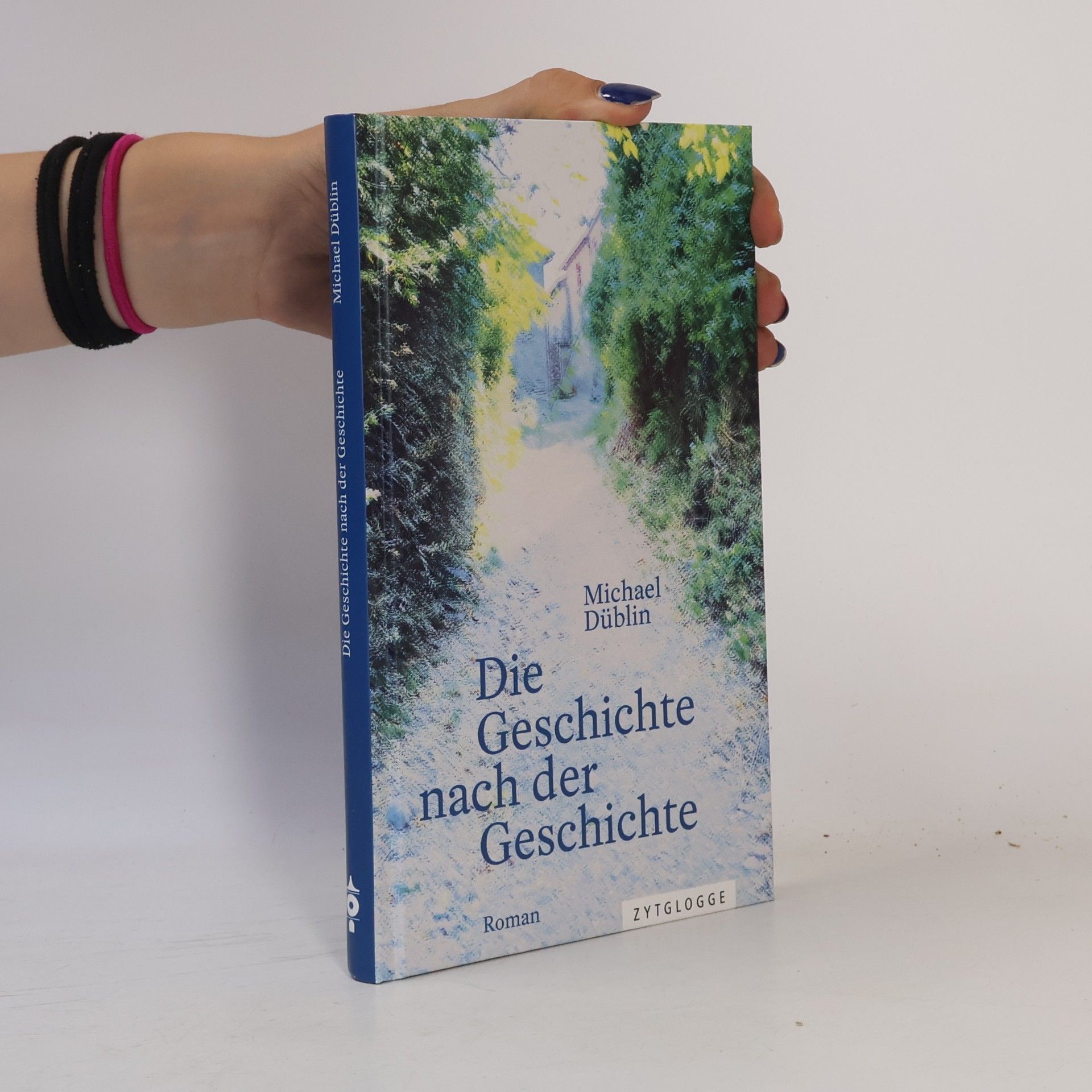 Michael Düblin Die Geschichte nach der Geschichte