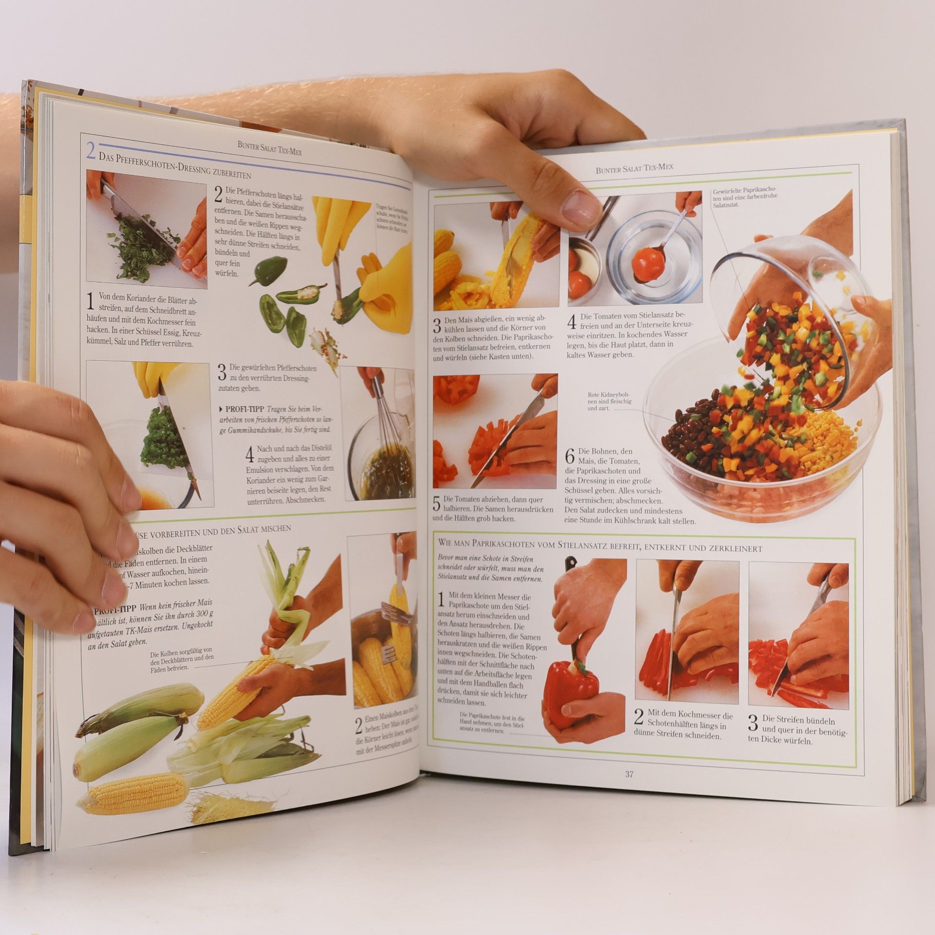 Anne Willan Salate frisch & knackig