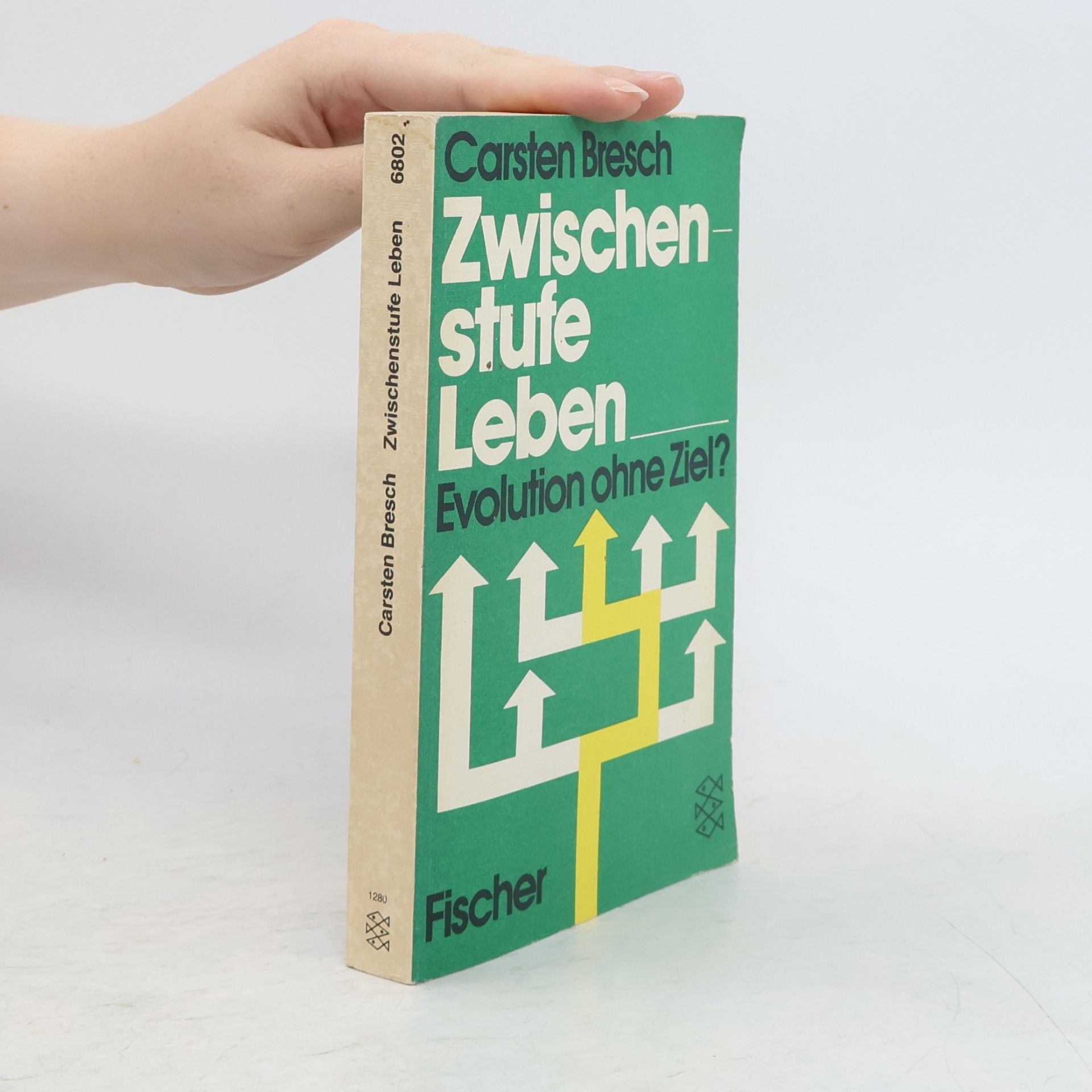 Carsten Bresch Zwischenstufe Leben