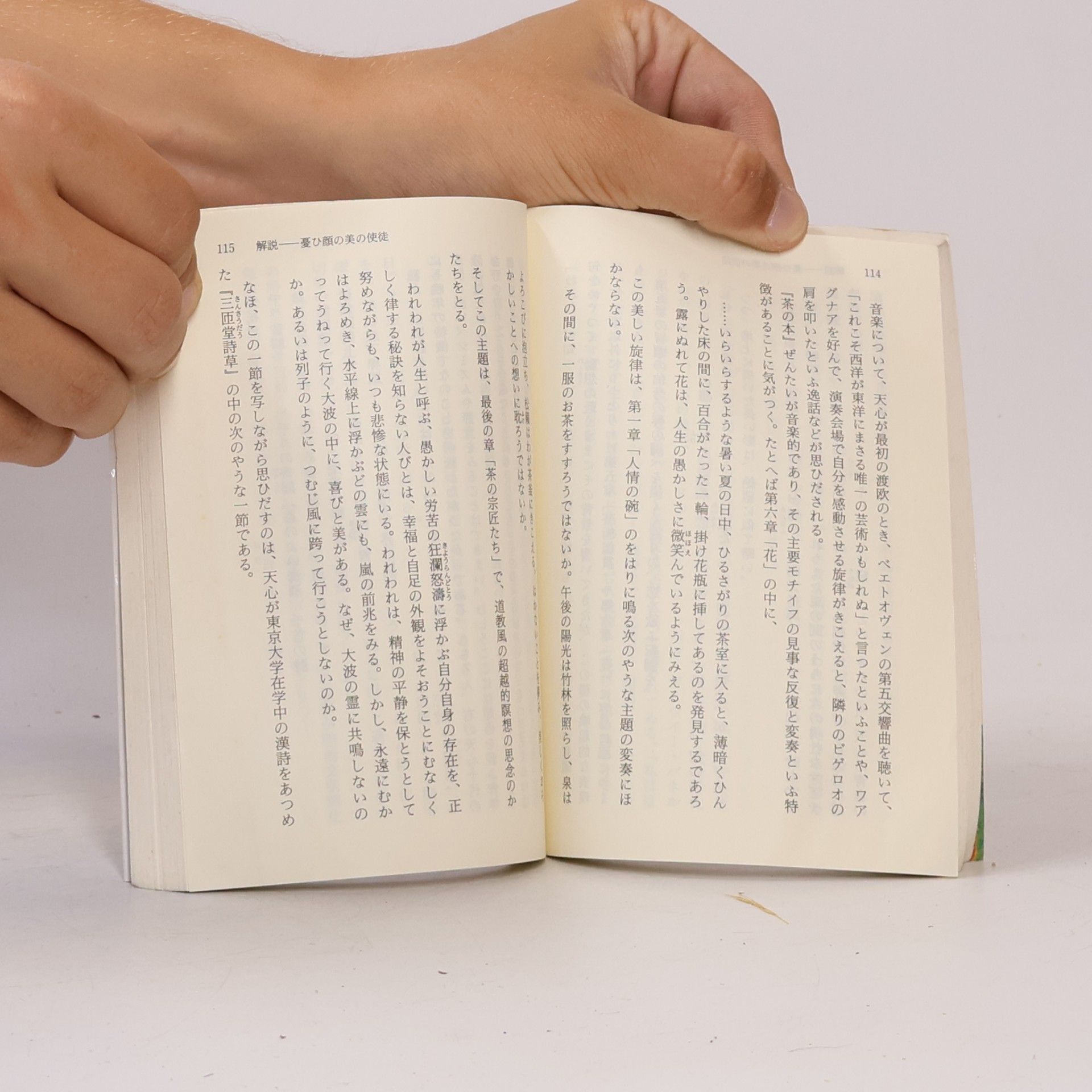 岡倉 天心 講談社学術文庫 - 113: 英文収録 茶の本