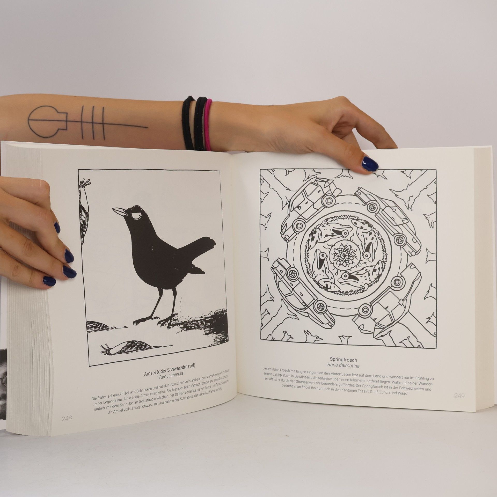 Marcel Barelli Bestiarium Helveticum