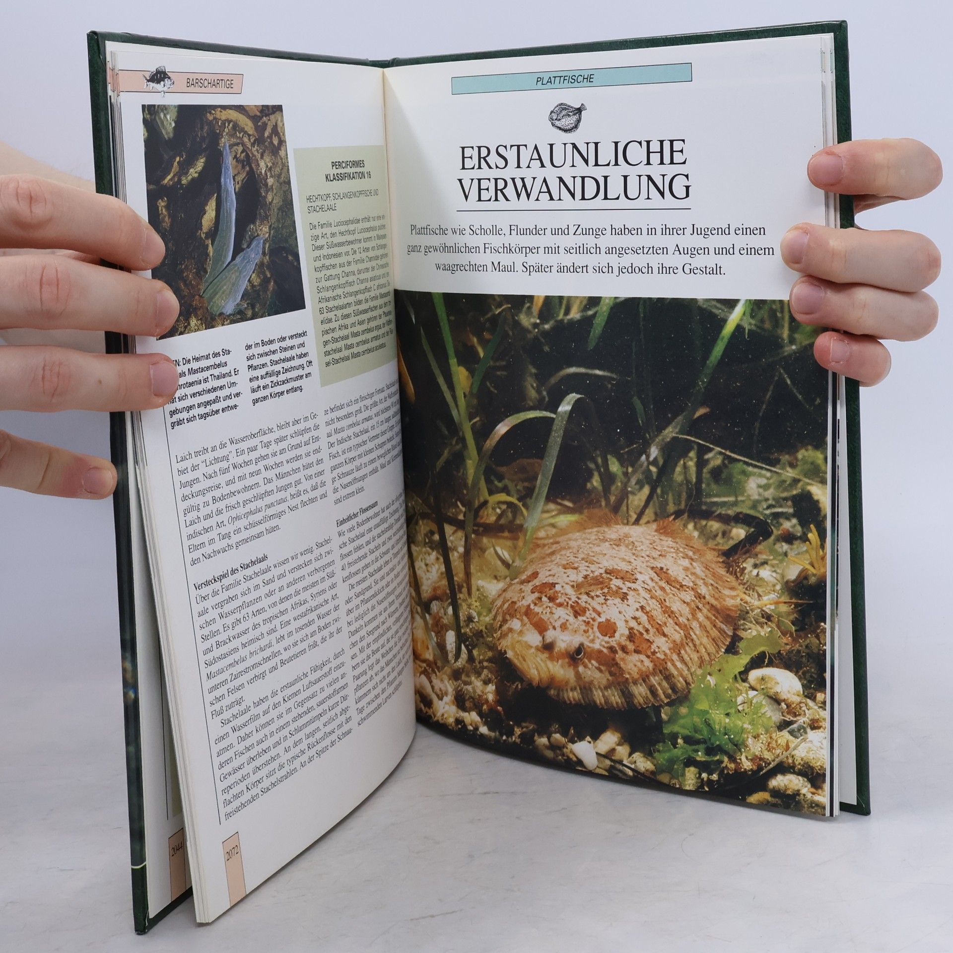 Autorenkollektiv Lebendiges Tierreich 35
