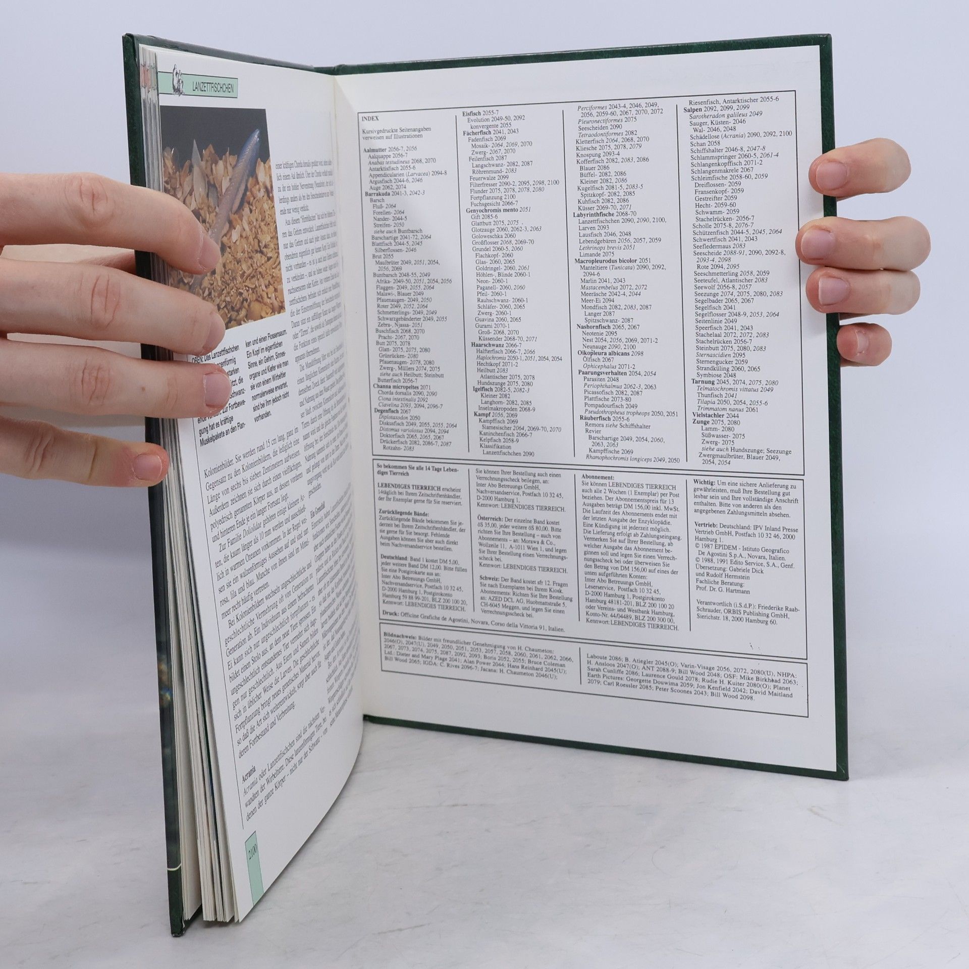 Autorenkollektiv Lebendiges Tierreich 35
