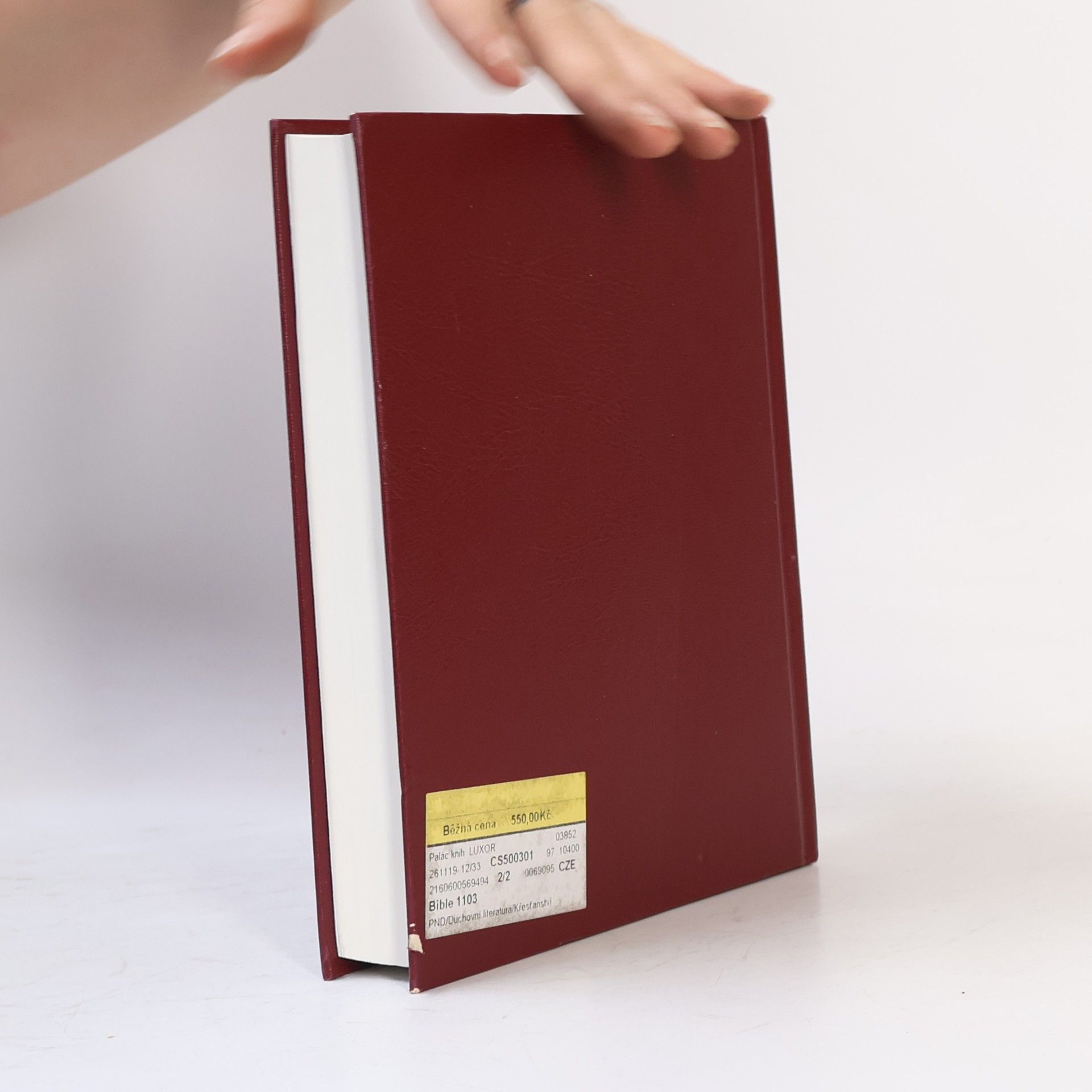 Collectif d'auteurs Bible