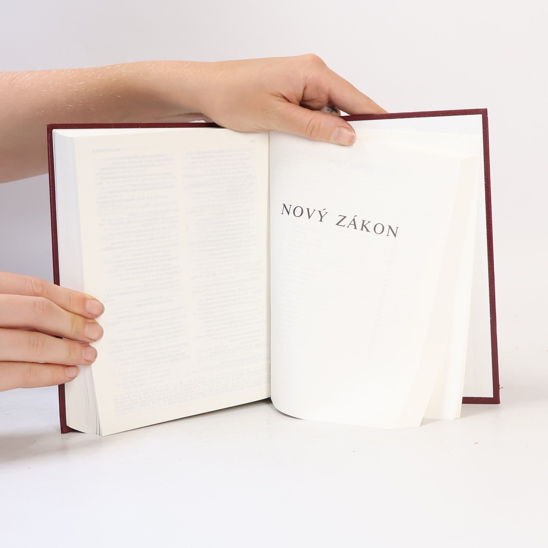 Collectif d'auteurs Bible