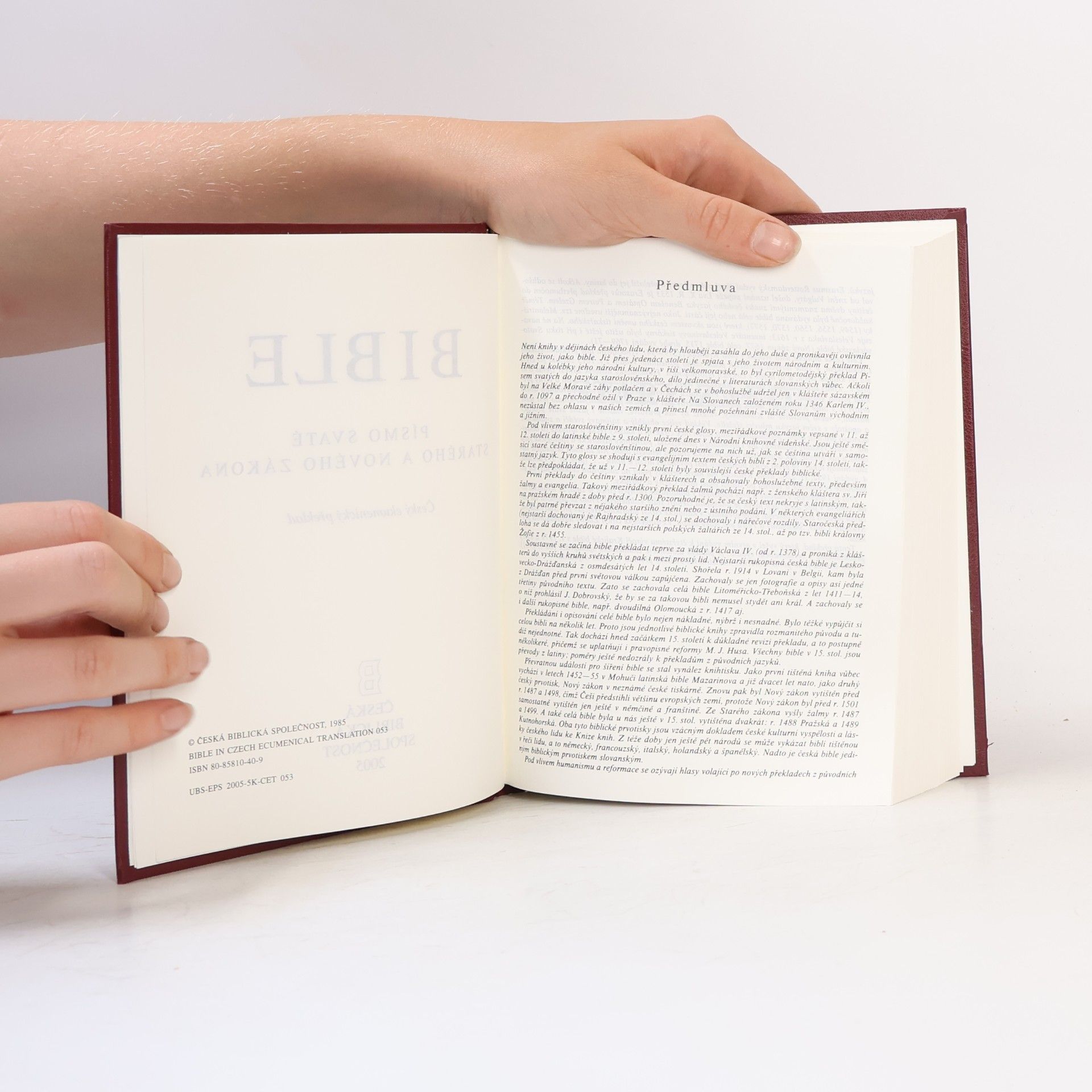 Collectif d'auteurs Bible