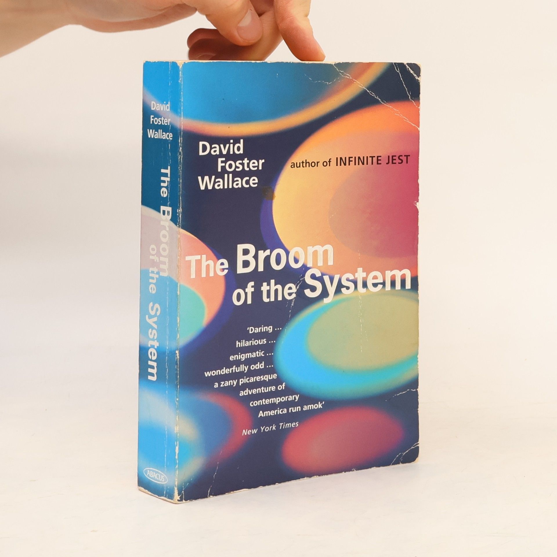 David Foster Wallace The Broom of the System