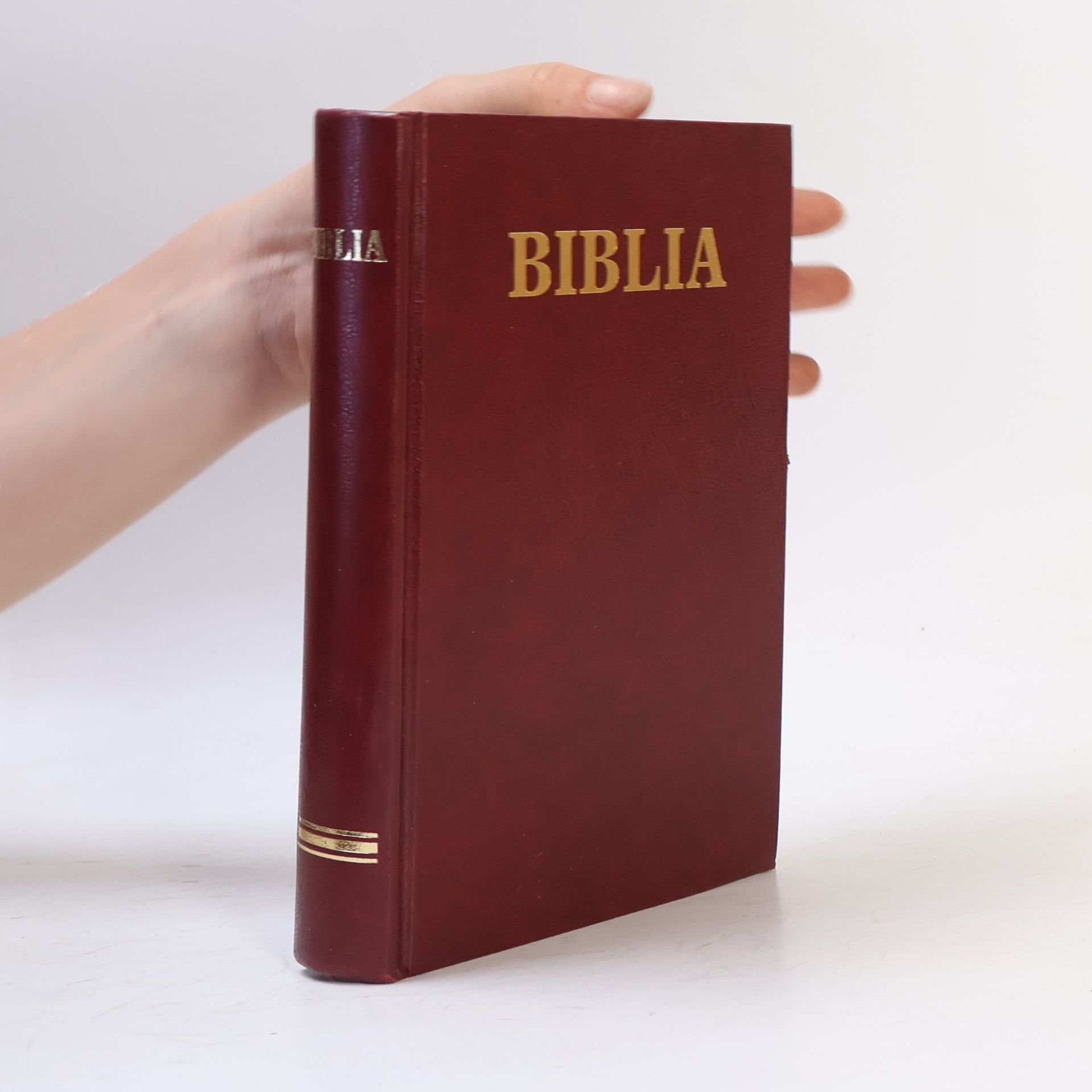 Mikuláš Liptovský Biblia
