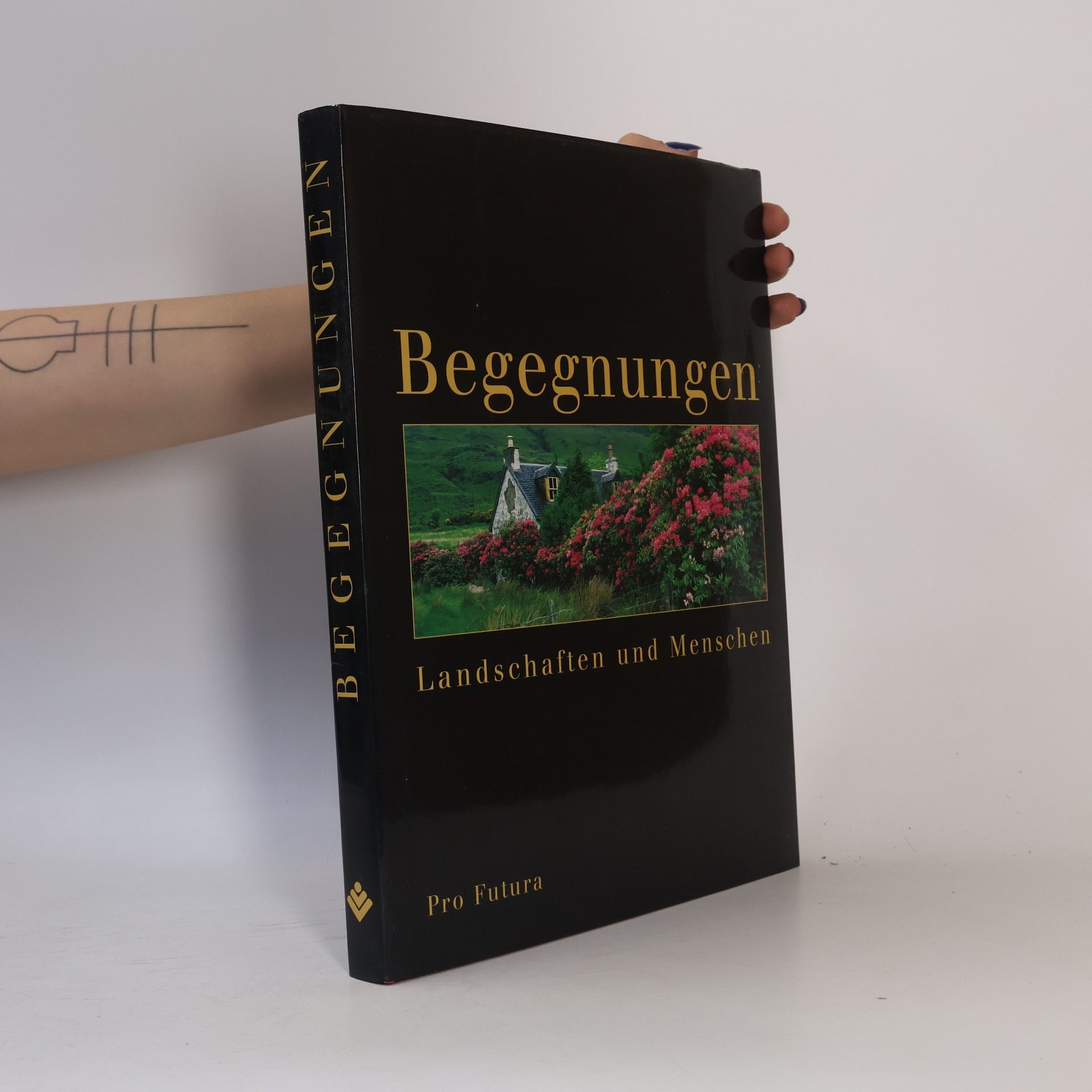 Autorenkollektiv Begegnungen. Landschaften und Menschen