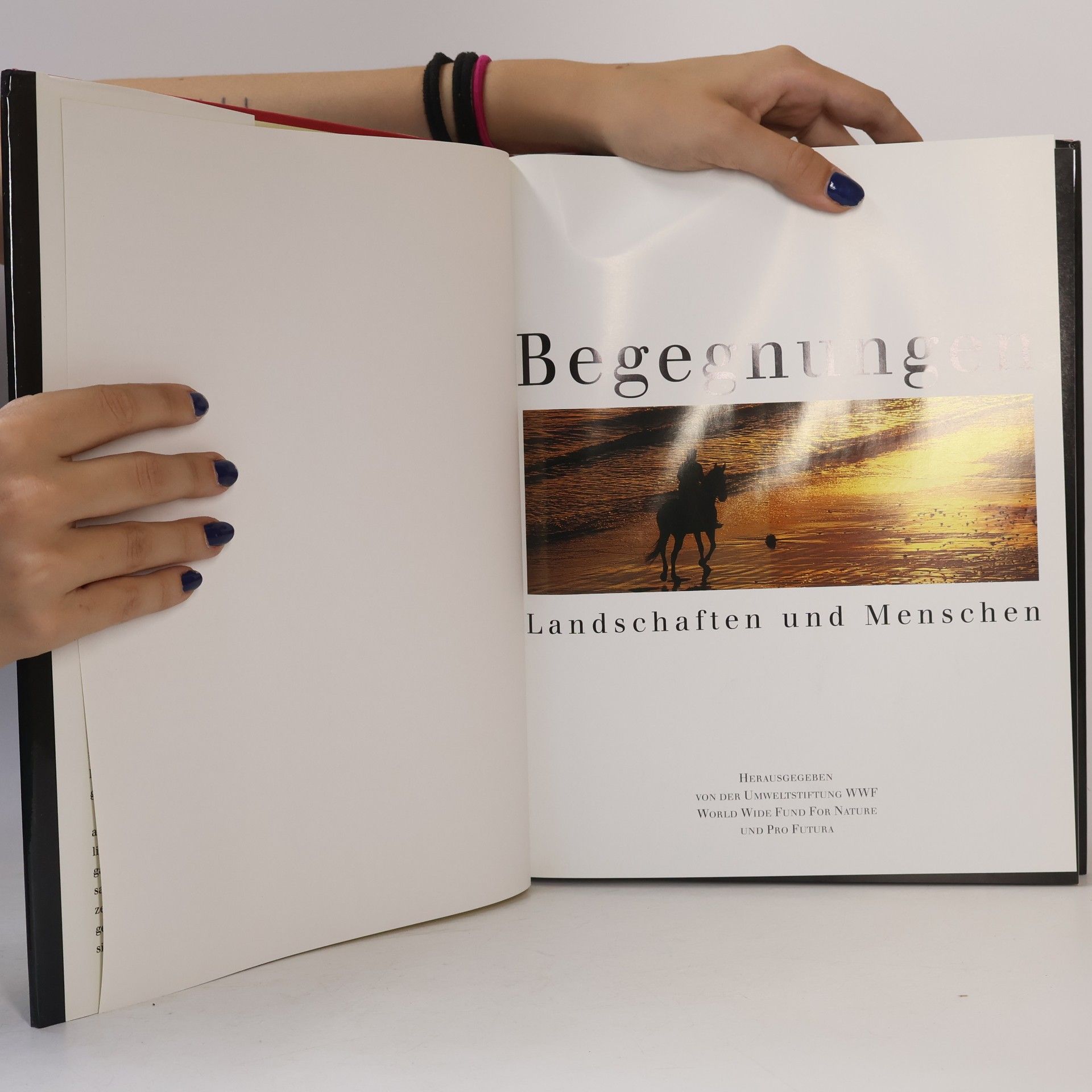 Autorenkollektiv Begegnungen. Landschaften und Menschen