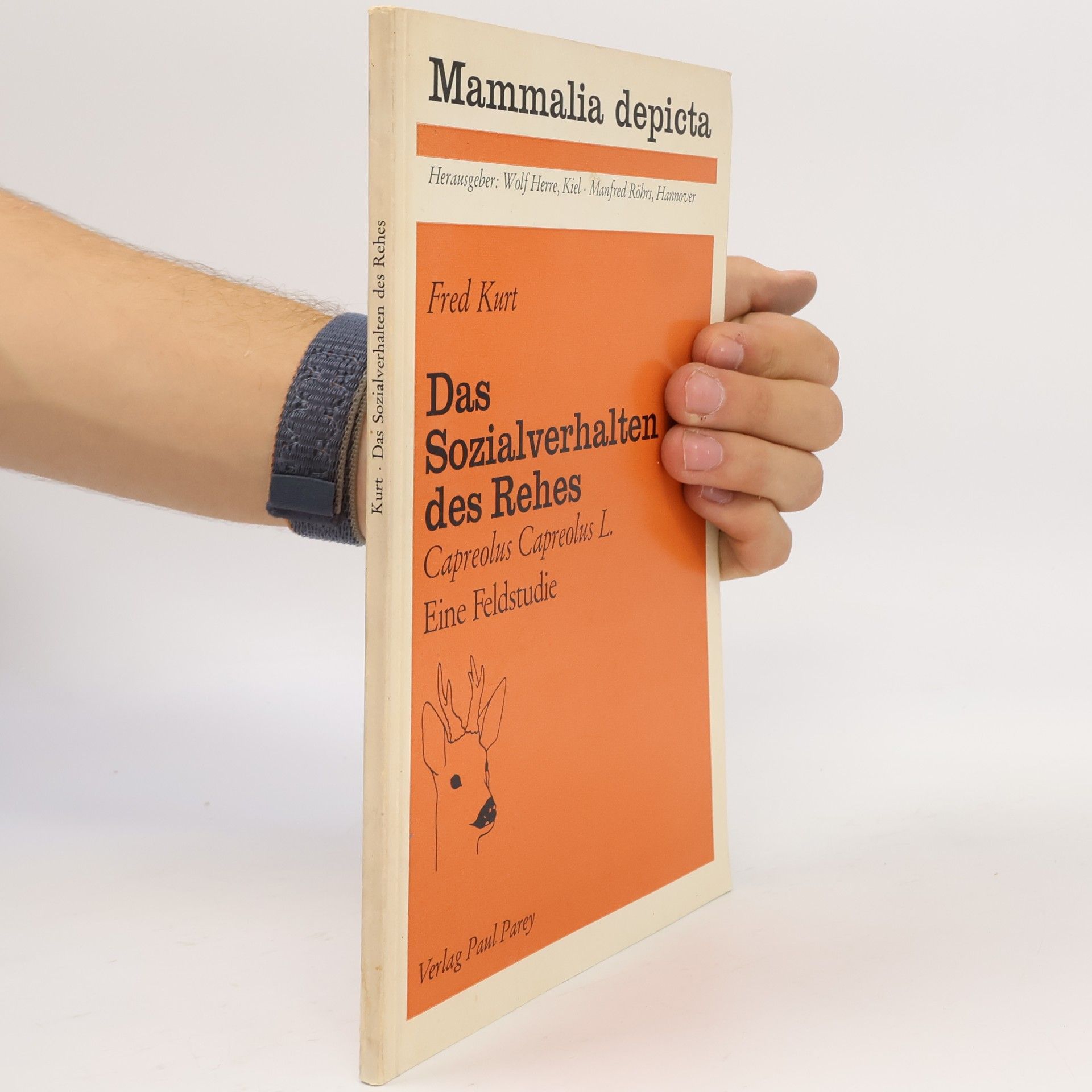 Fred Kurt Das Sozialverhalten des Rehes
