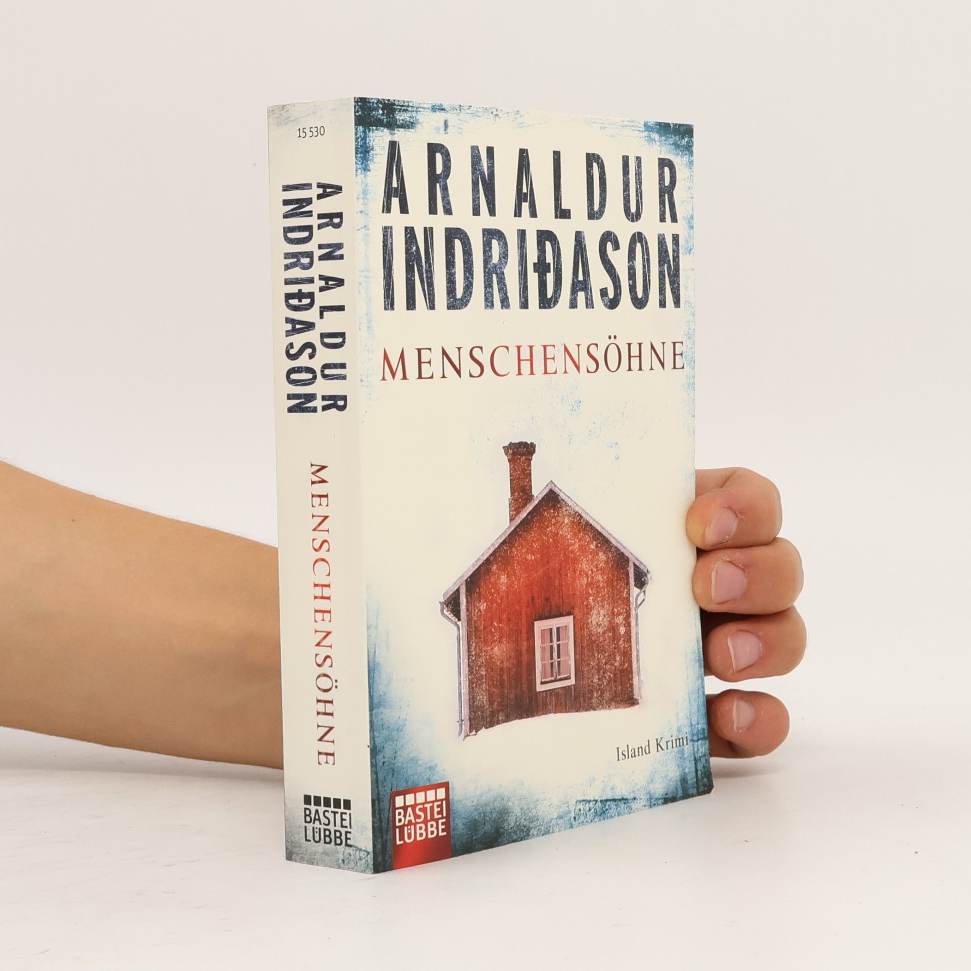 Arnaldur Indridason Menschensöhne