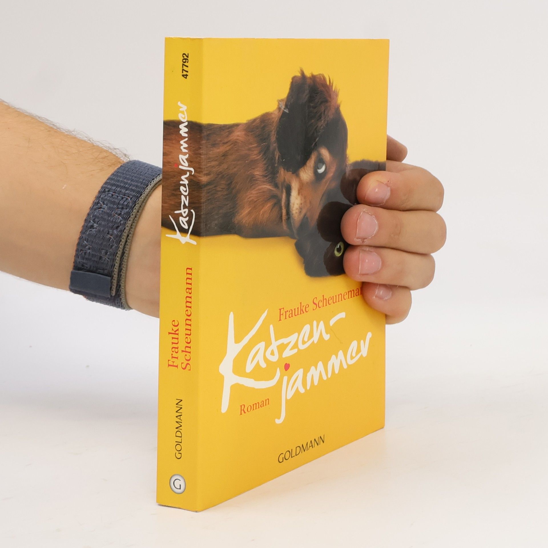Frauke Scheunemann Katzenjammer