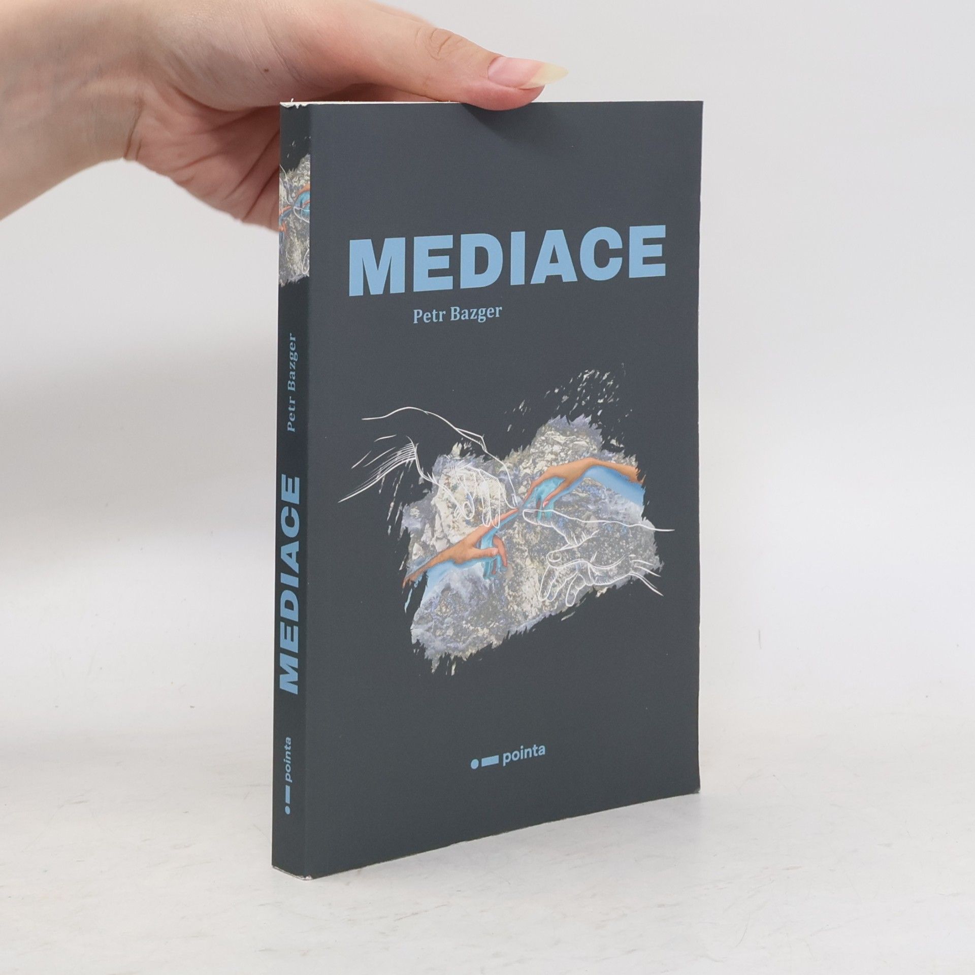 Petr Bazger Mediace
