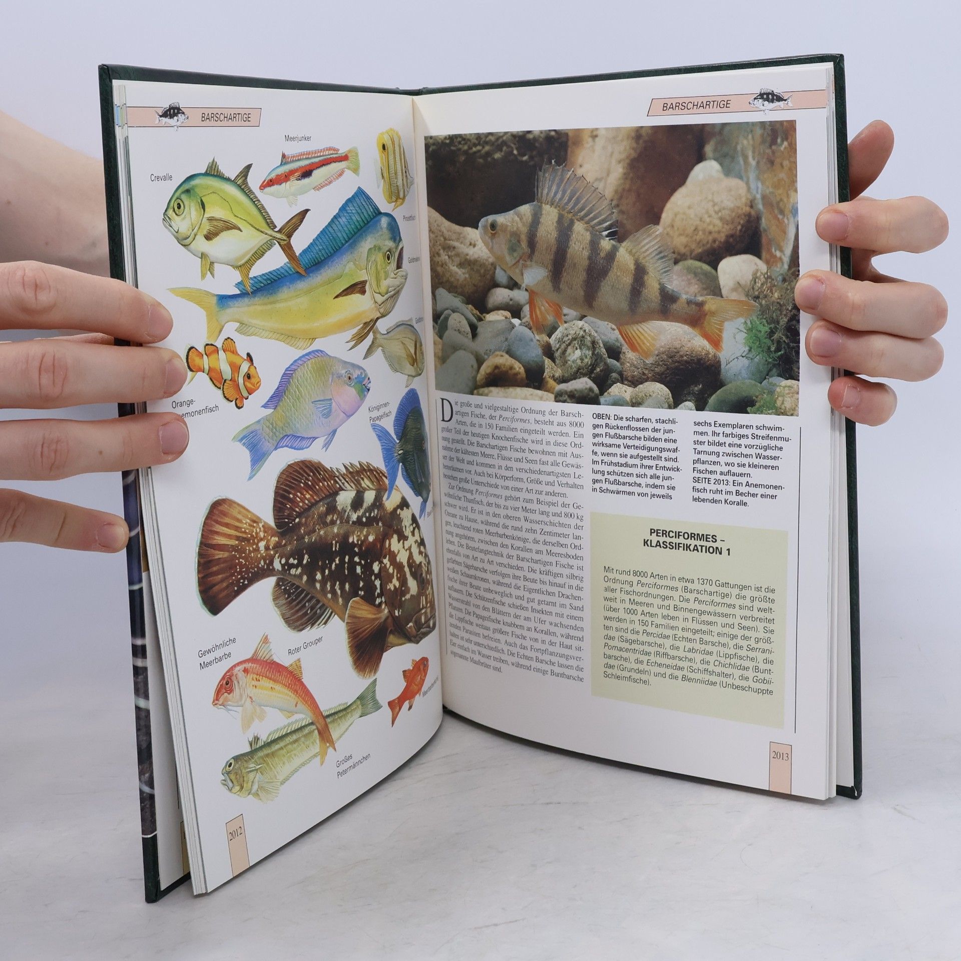 Autorenkollektiv Lebendiges Tierreich Band 34