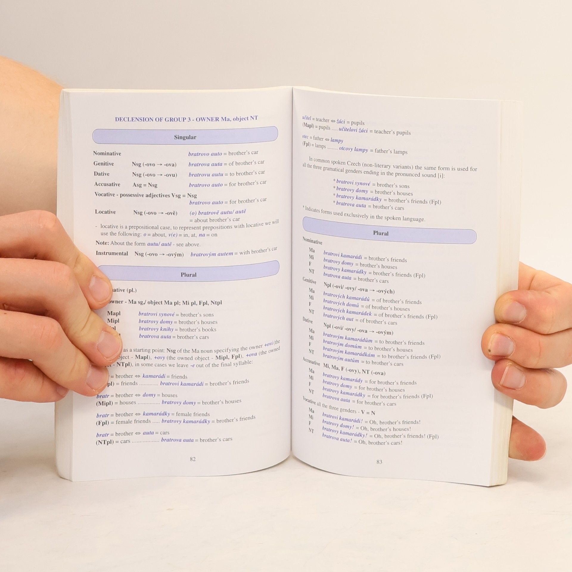 Auteurscollectief The Course of Czech Grammar