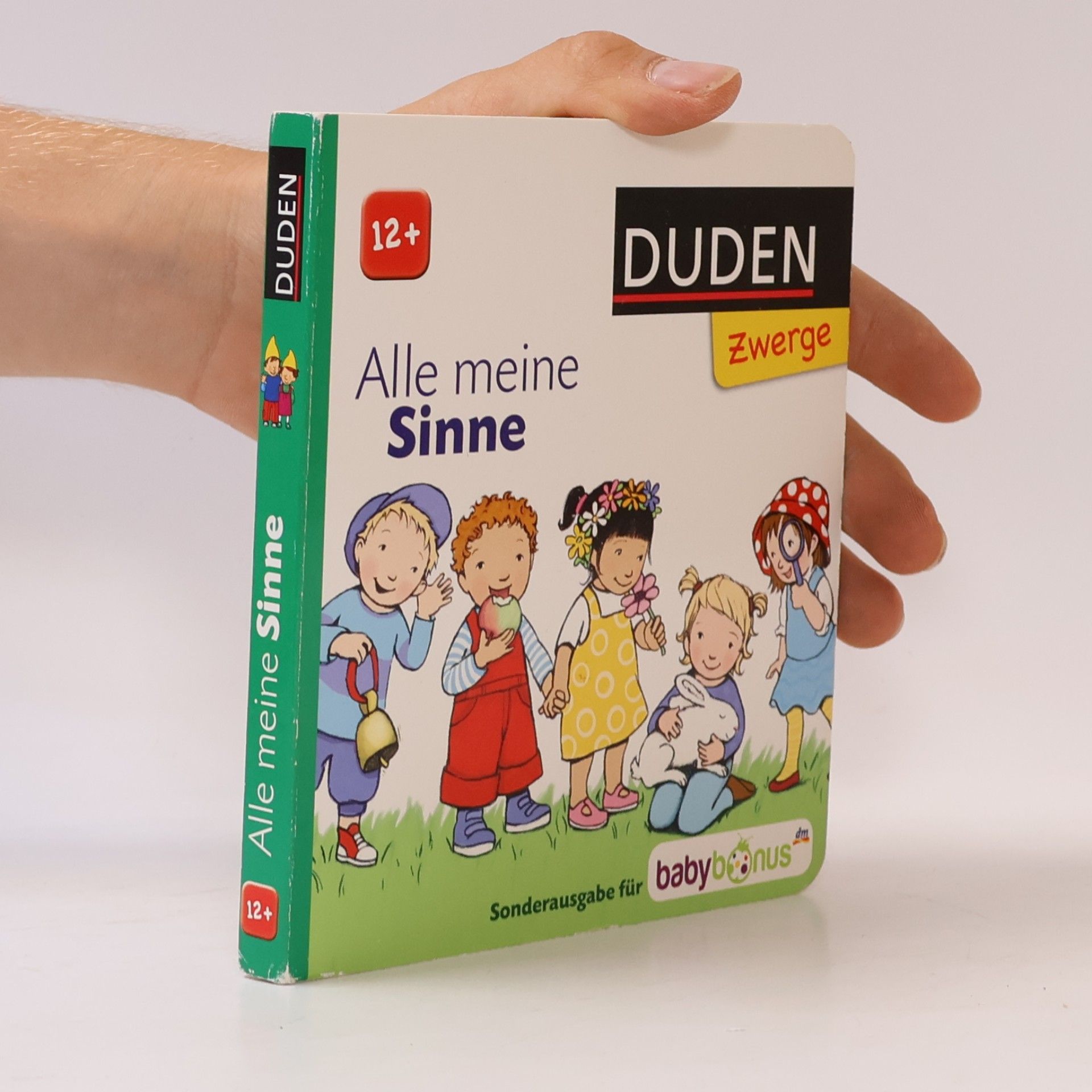 Kolektiv autorů Alle meine Sinne