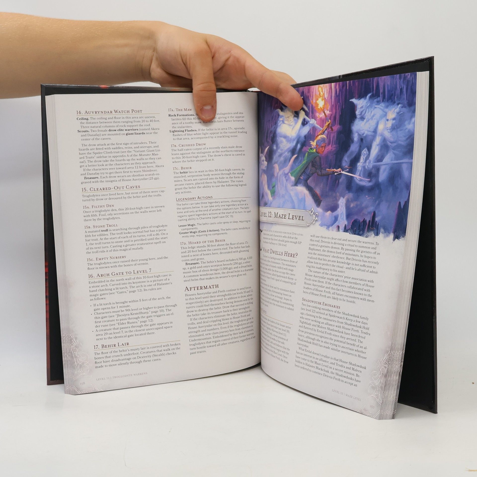 Kolektiv autorů Waterdeep Dungeon of the Mad Mage (Dungeons & Dragons)