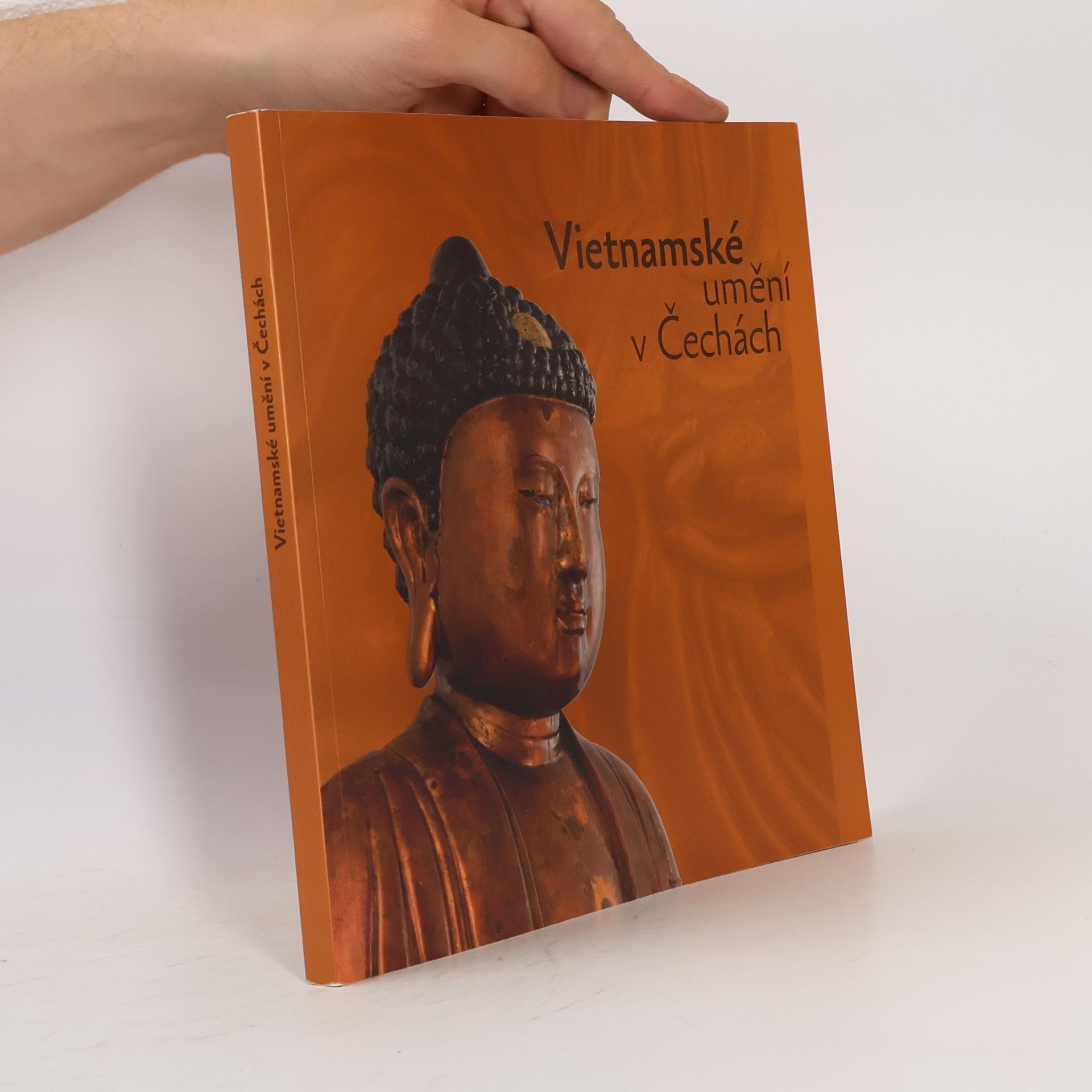 Vietnamské umění v Čechách
