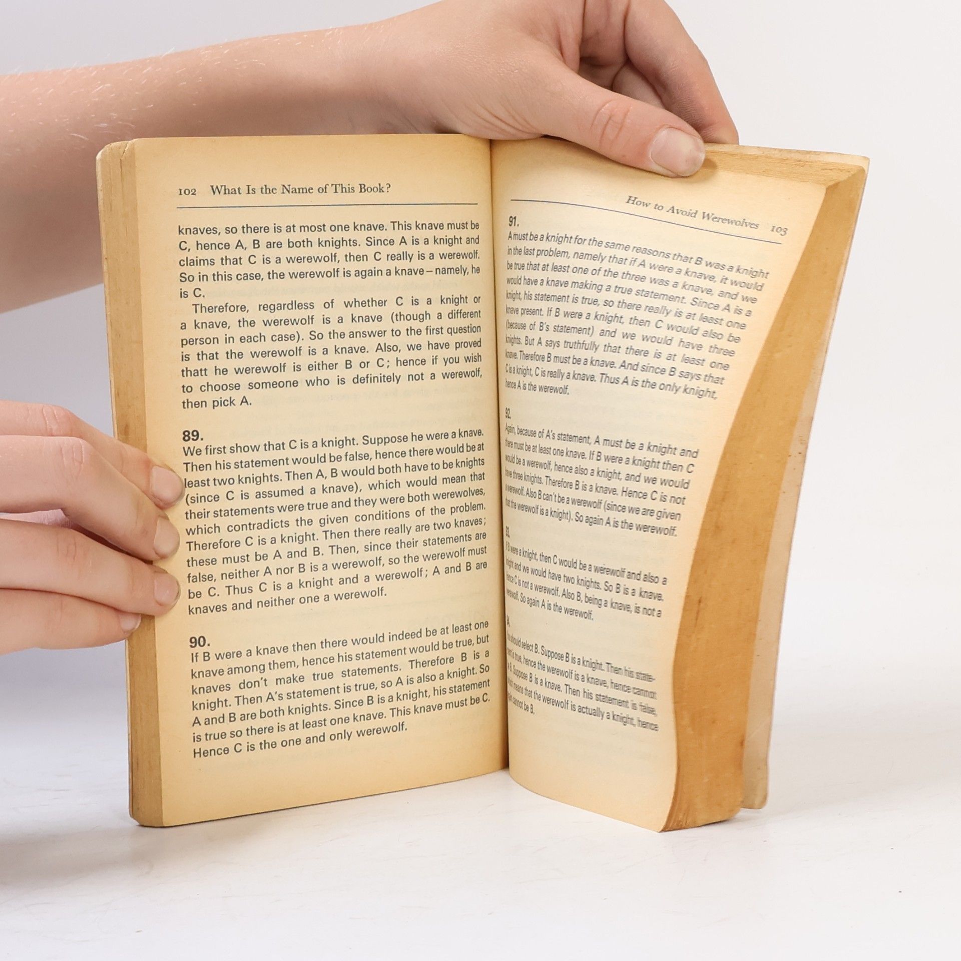 Raymond Smullyan What is the Name of this Book?