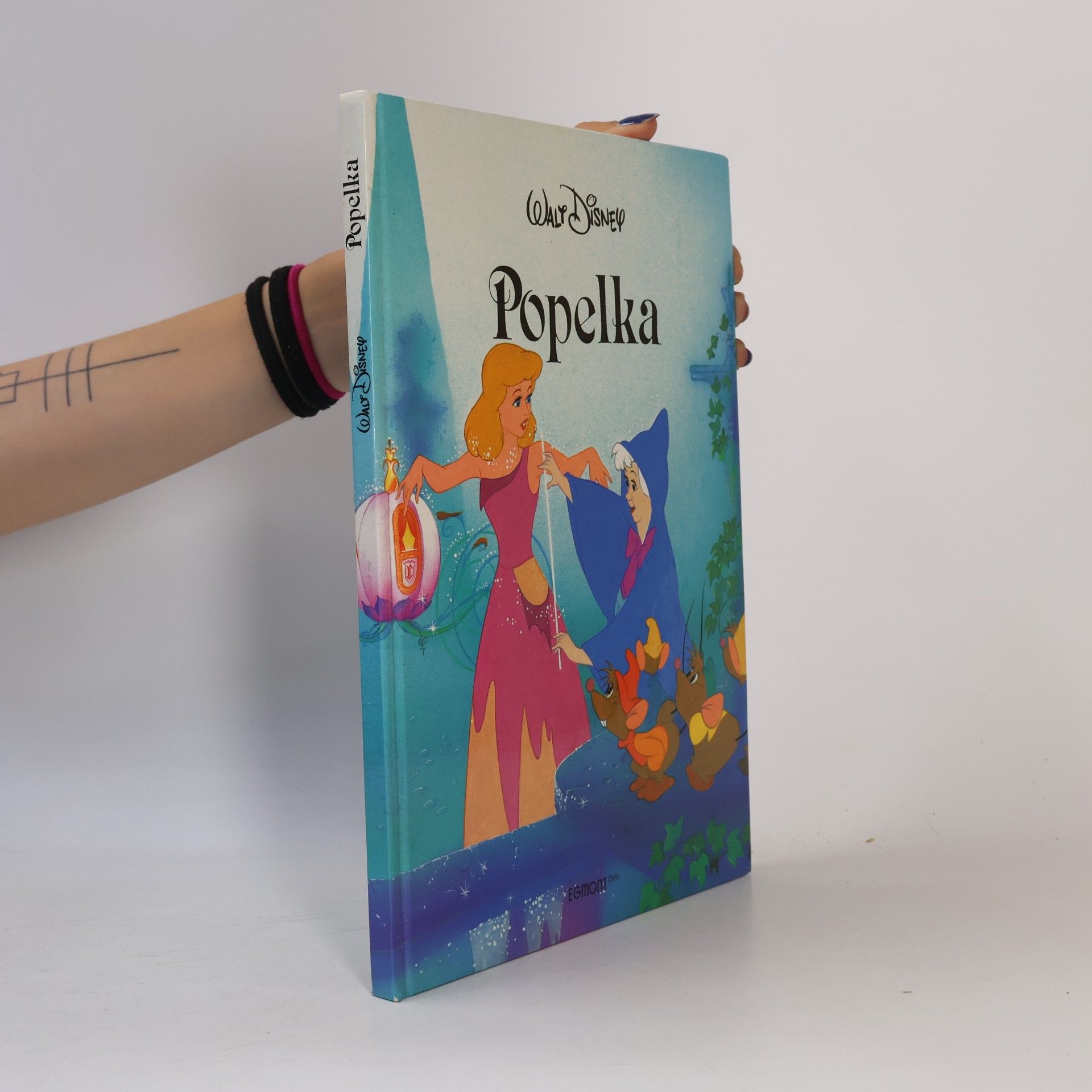 Kolektiv autorů Popelka
