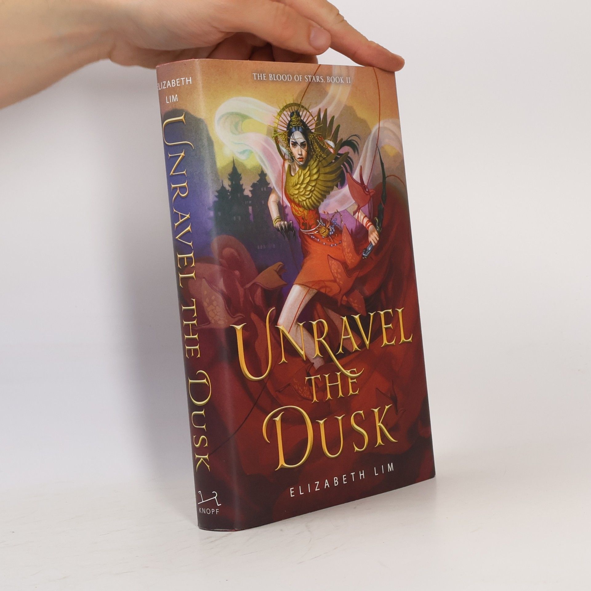 Elizabeth Lim Unravel the Dusk