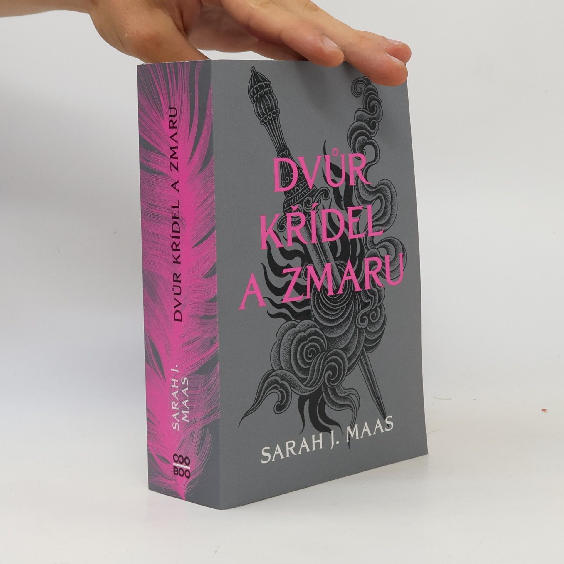 Sarah J. Maas Dvůr křídel a zmaru