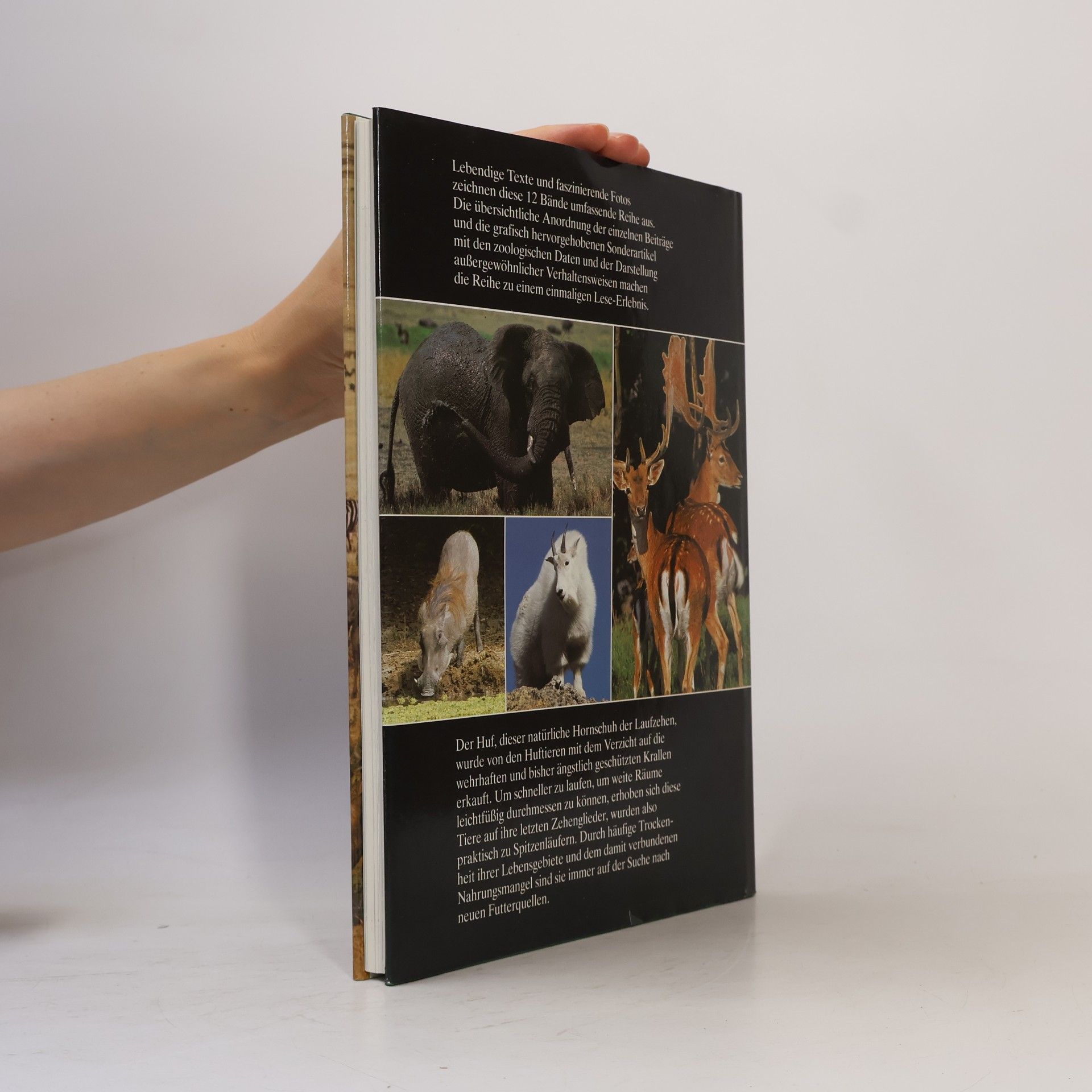 Autorenkollektiv Die Tiere unserer Welt. Band 4. Huftiere