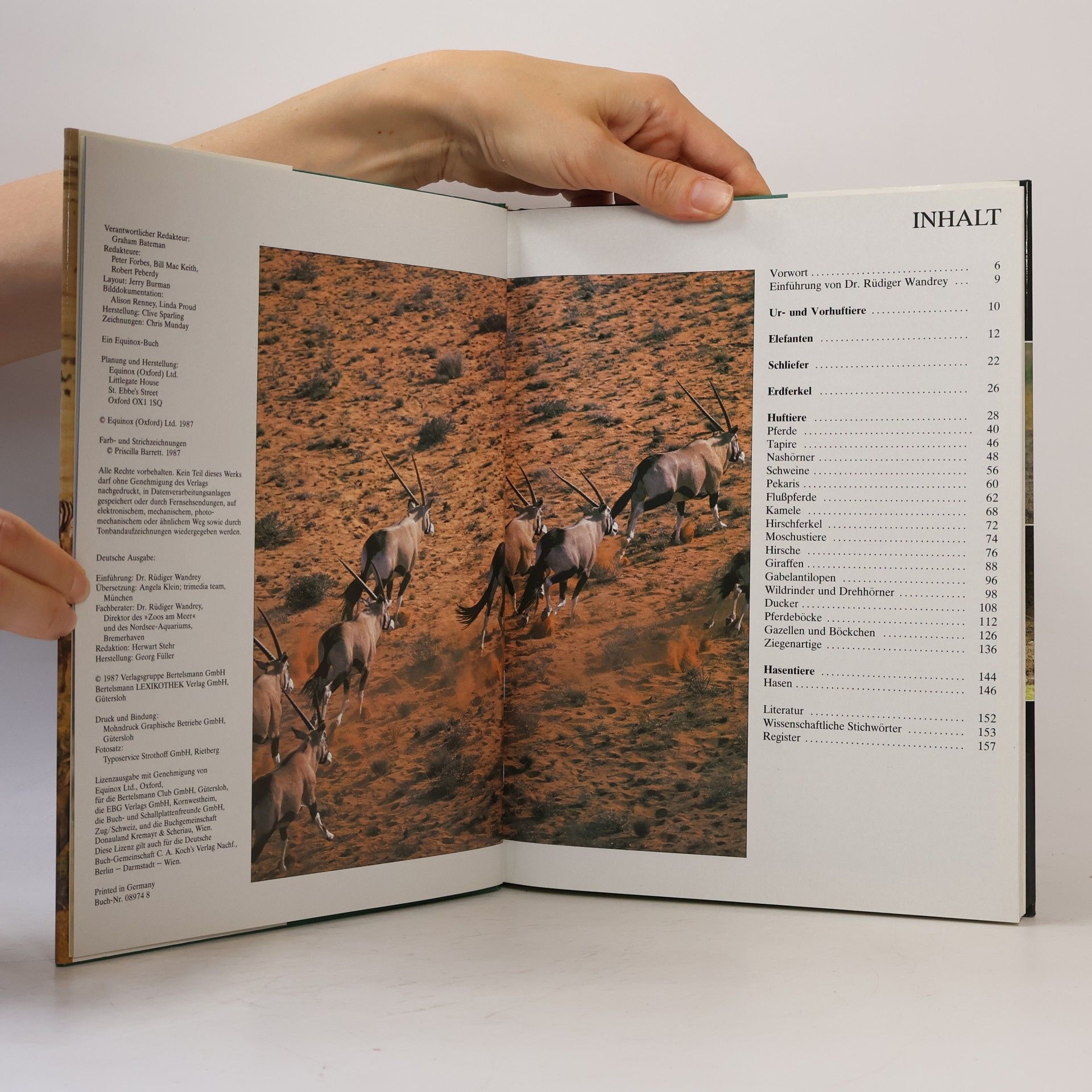 Autorenkollektiv Die Tiere unserer Welt. Band 4. Huftiere
