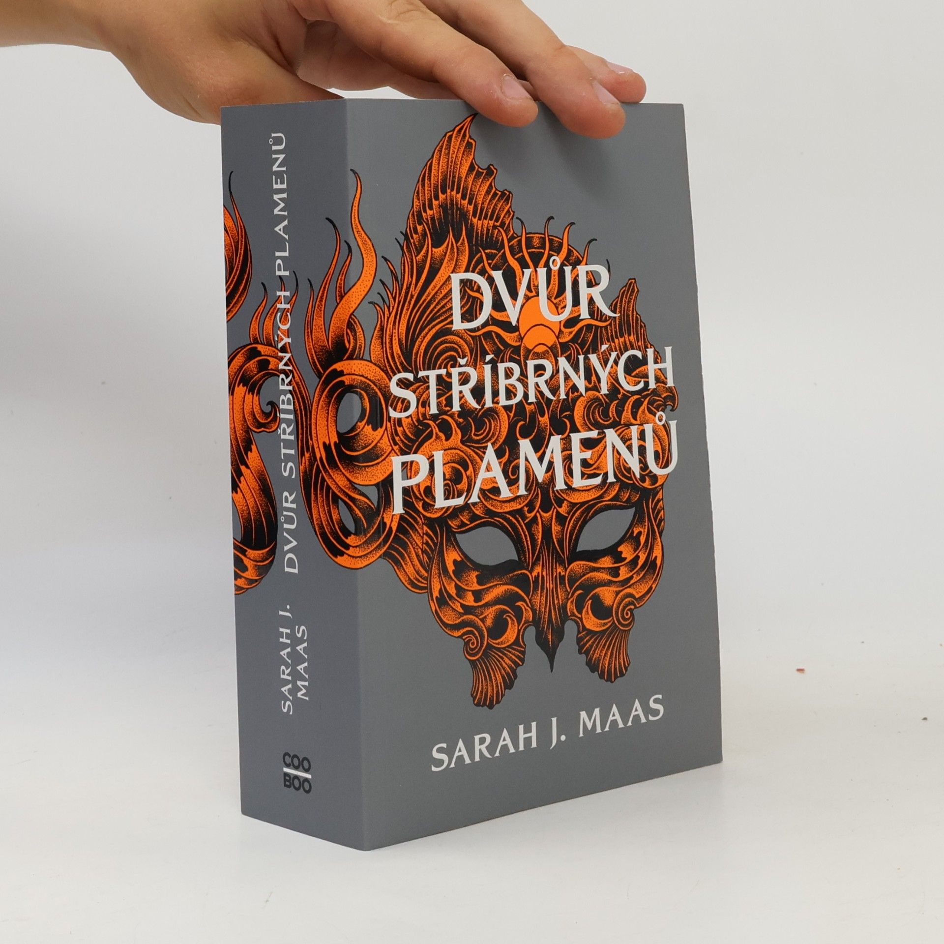 Sarah J. Maas Dvůr stříbrných plamenů