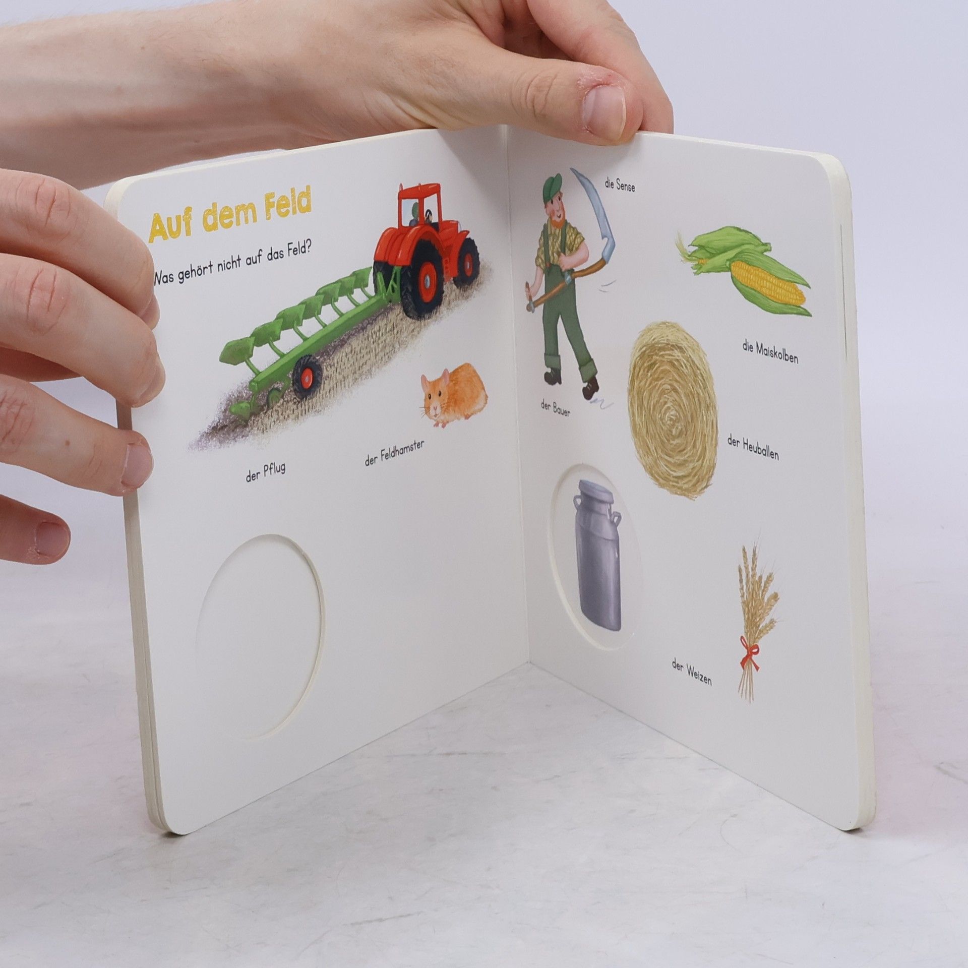 Autorenkollektiv Mein kleines Gucklochbuch Bauernhof (Restauflage)