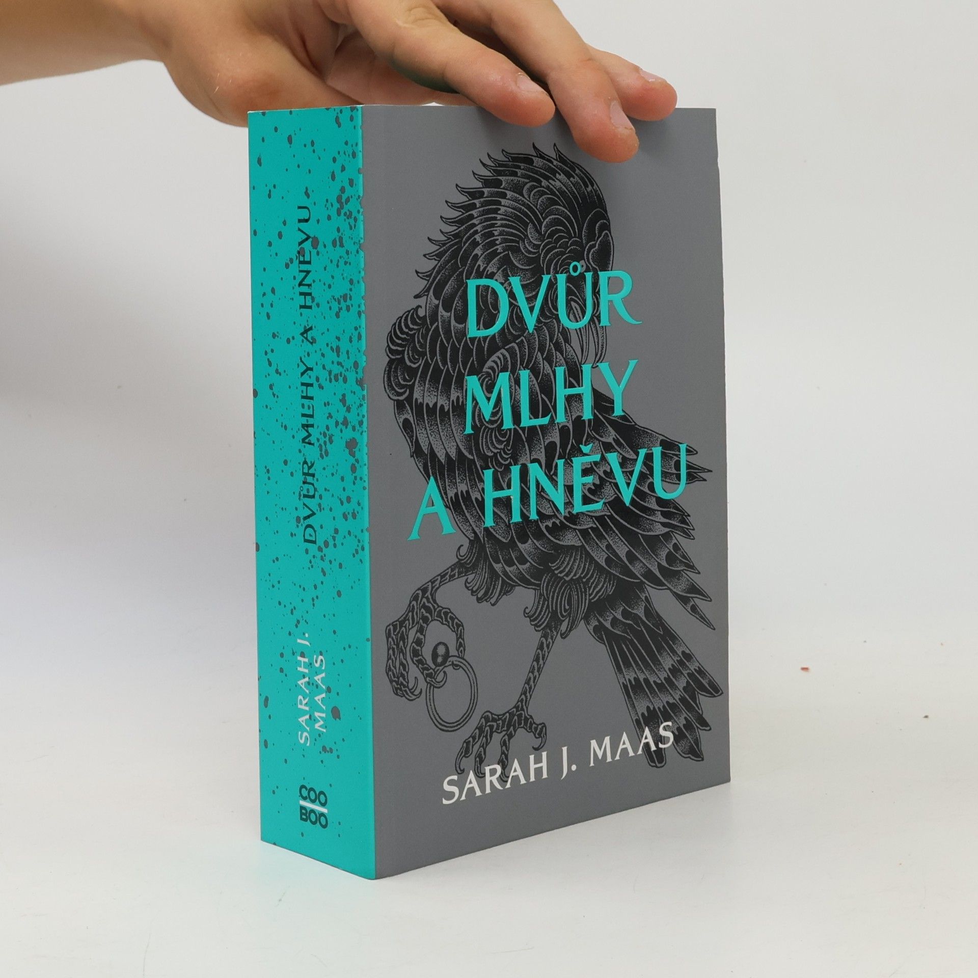 Sarah J. Maas Dvůr mlhy a hněvu
