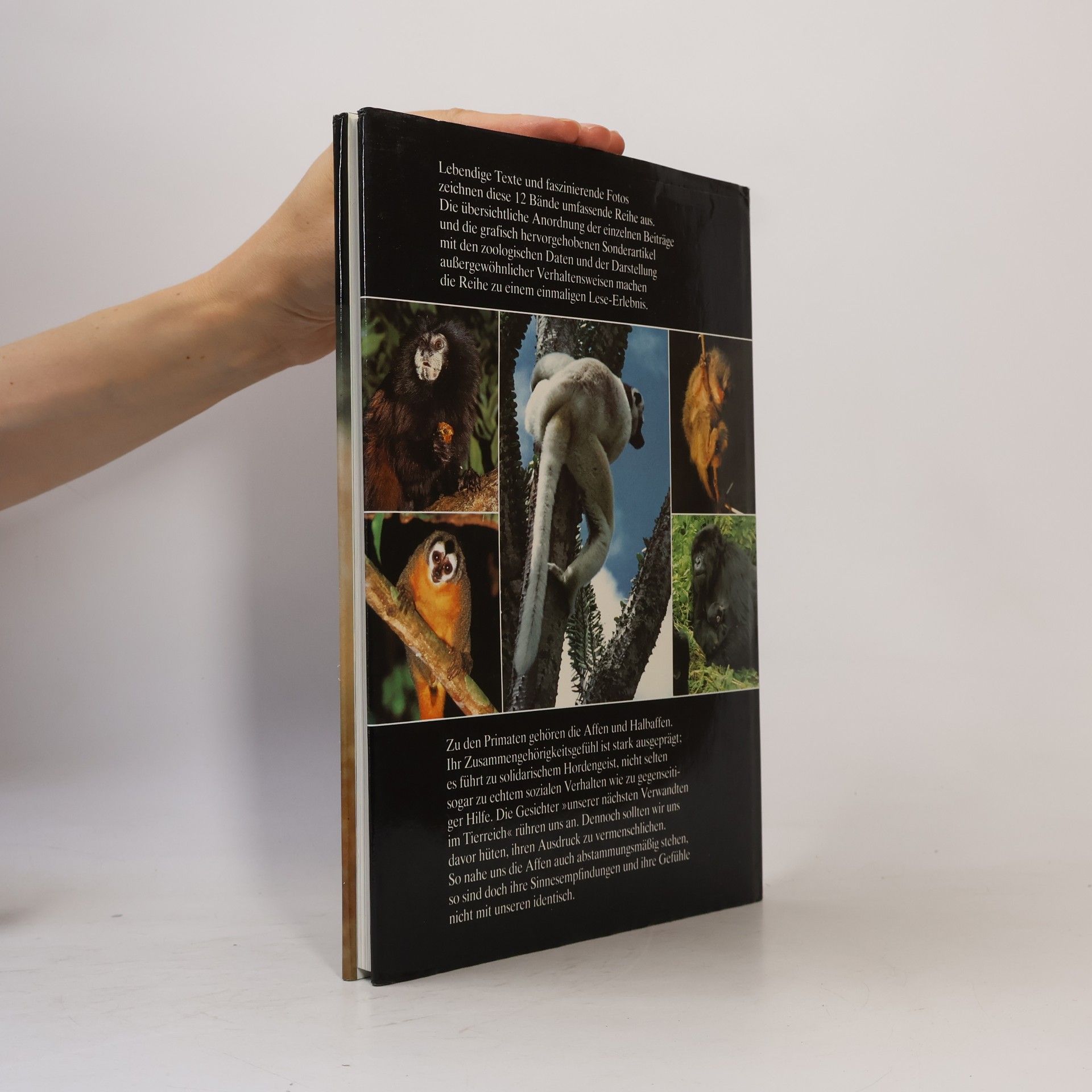 Autorenkollektiv Die Tiere unserer Welt 3. Primaten