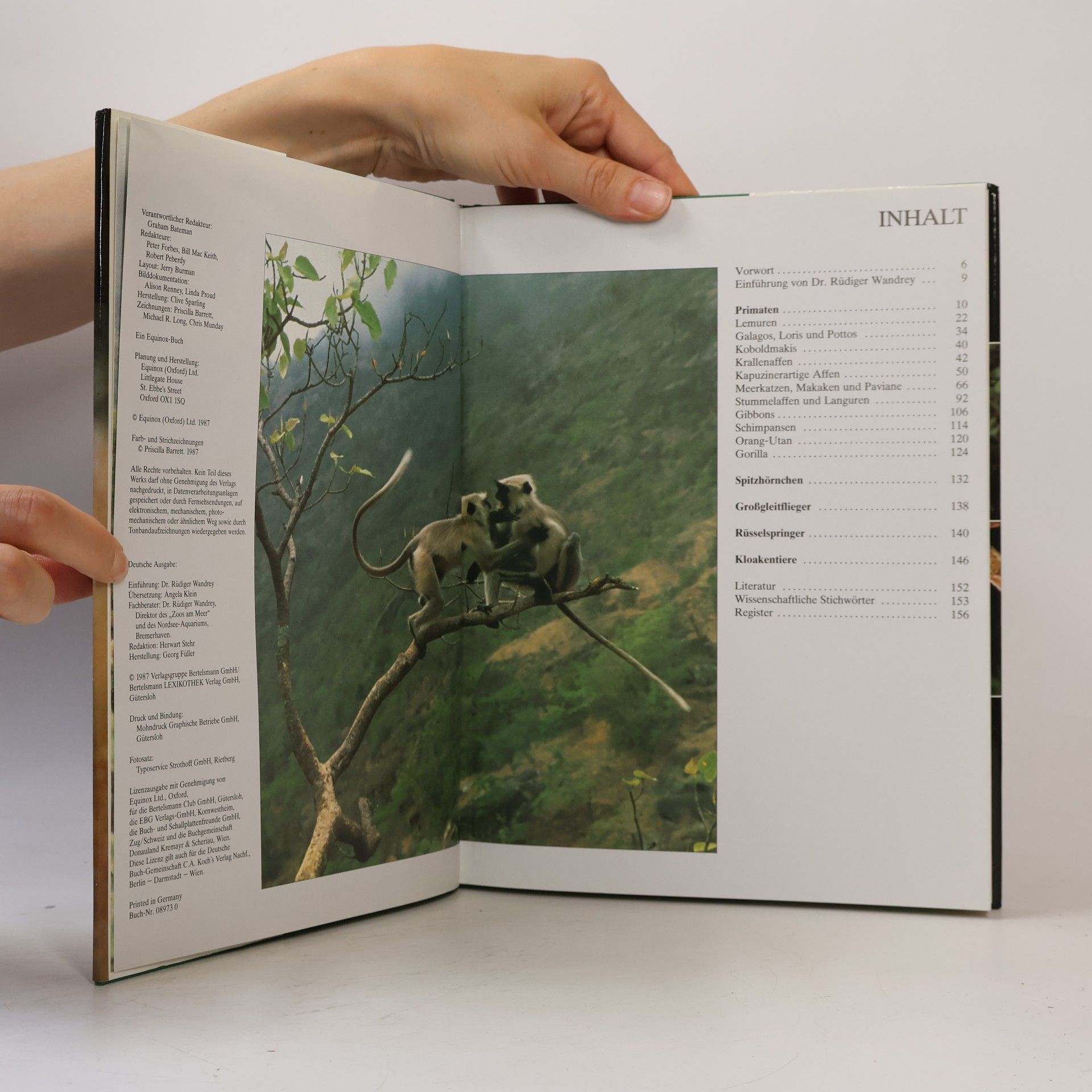 Autorenkollektiv Die Tiere unserer Welt 3. Primaten