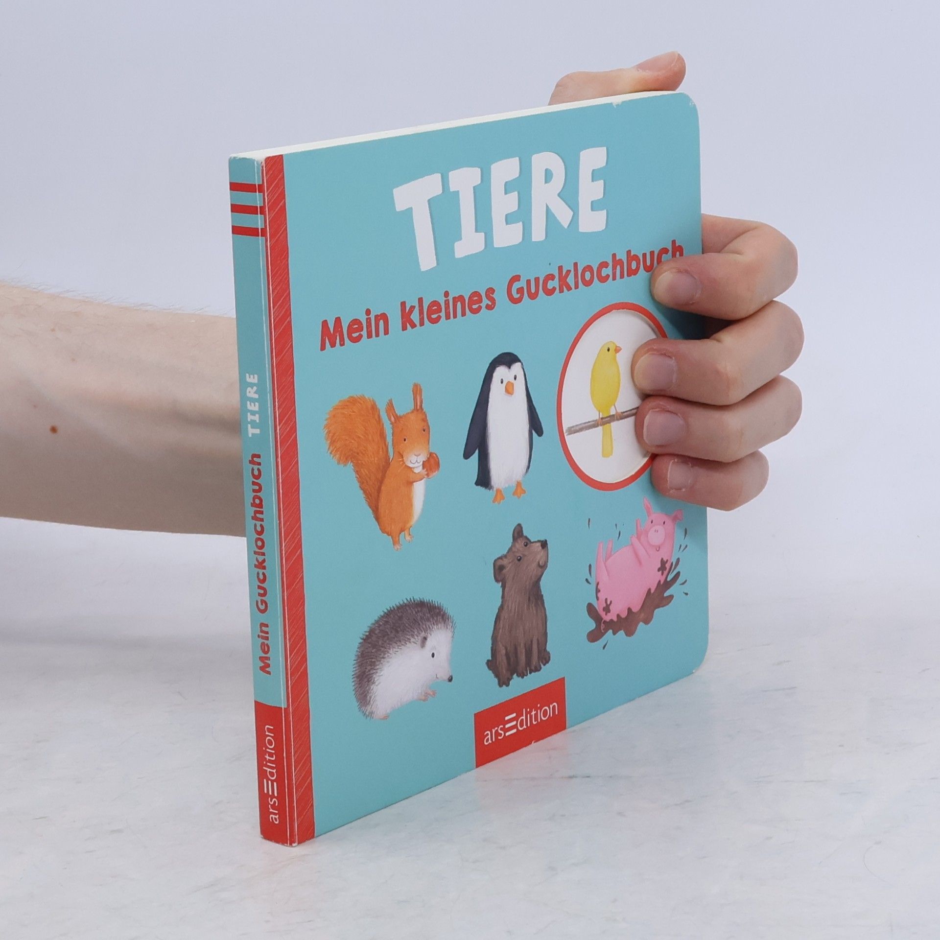 Autores varios Mein kleines Gucklochbuch Tiere (Restauflage)