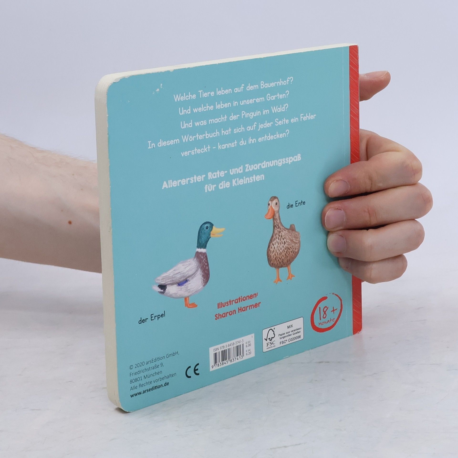Autorenkollektiv Mein kleines Gucklochbuch Tiere (Restauflage)