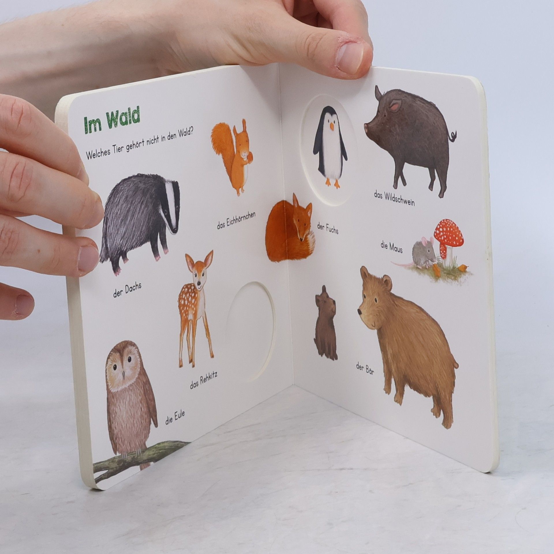 Autorenkollektiv Mein kleines Gucklochbuch Tiere (Restauflage)